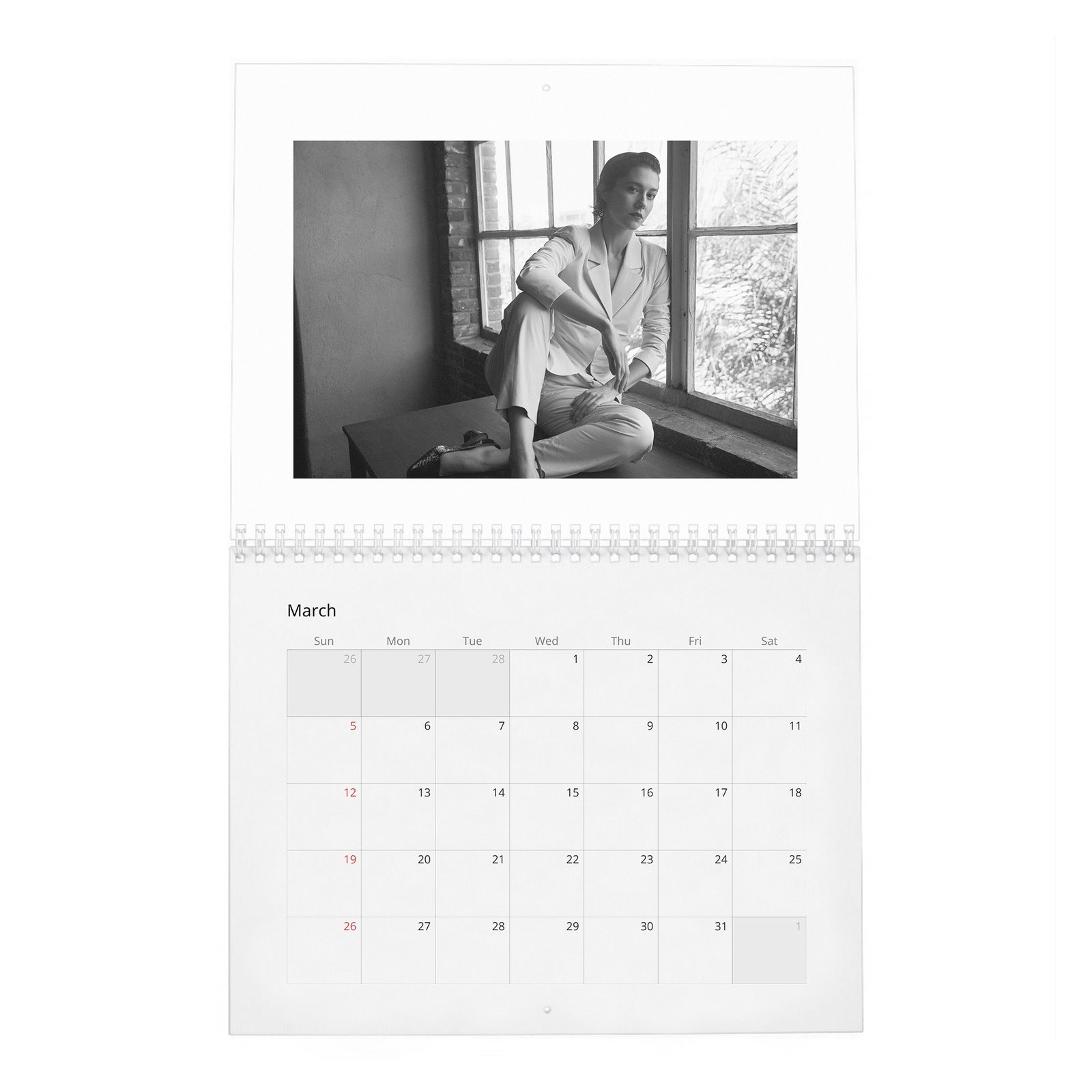 03 Mary Elizabeth Winstead - Laterals 2027 Wall Calendar
