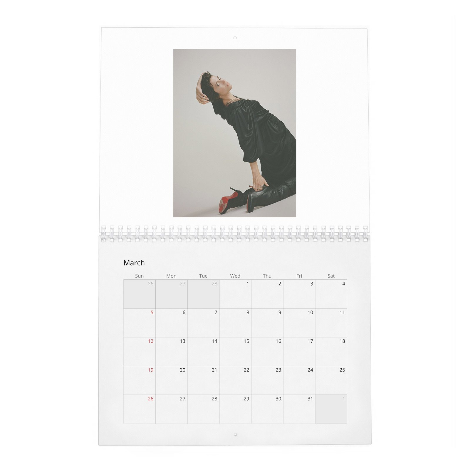 03 Mary Elizabeth Winstead - She Loves Playing The Badass 2027 Wall Calendar
