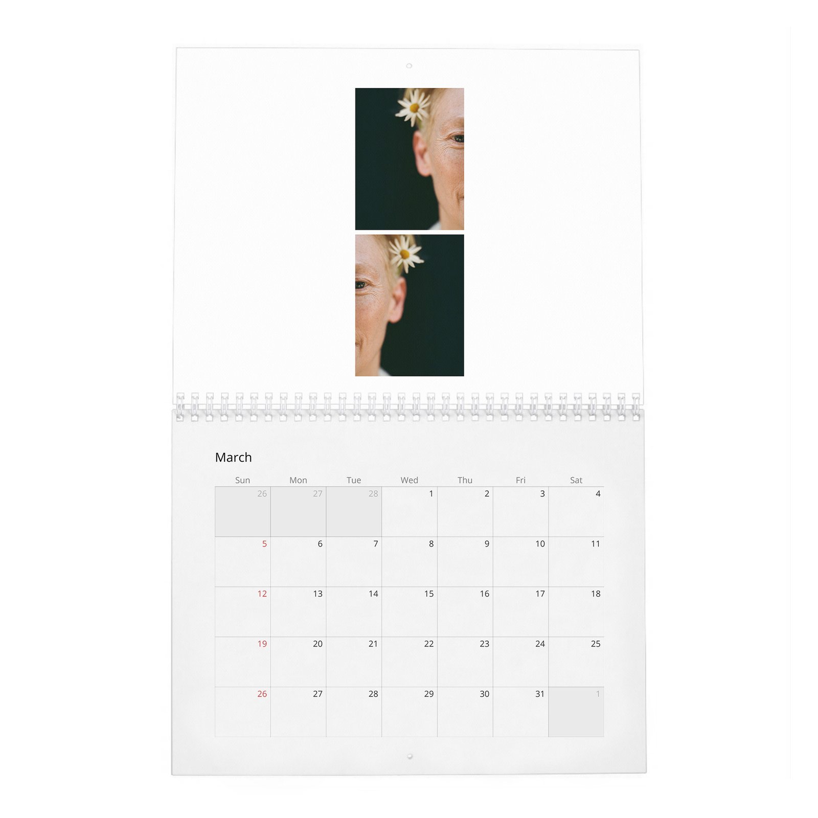 03 Tilda Swinton - Cine-Nerd 2027 Wall Calendar
