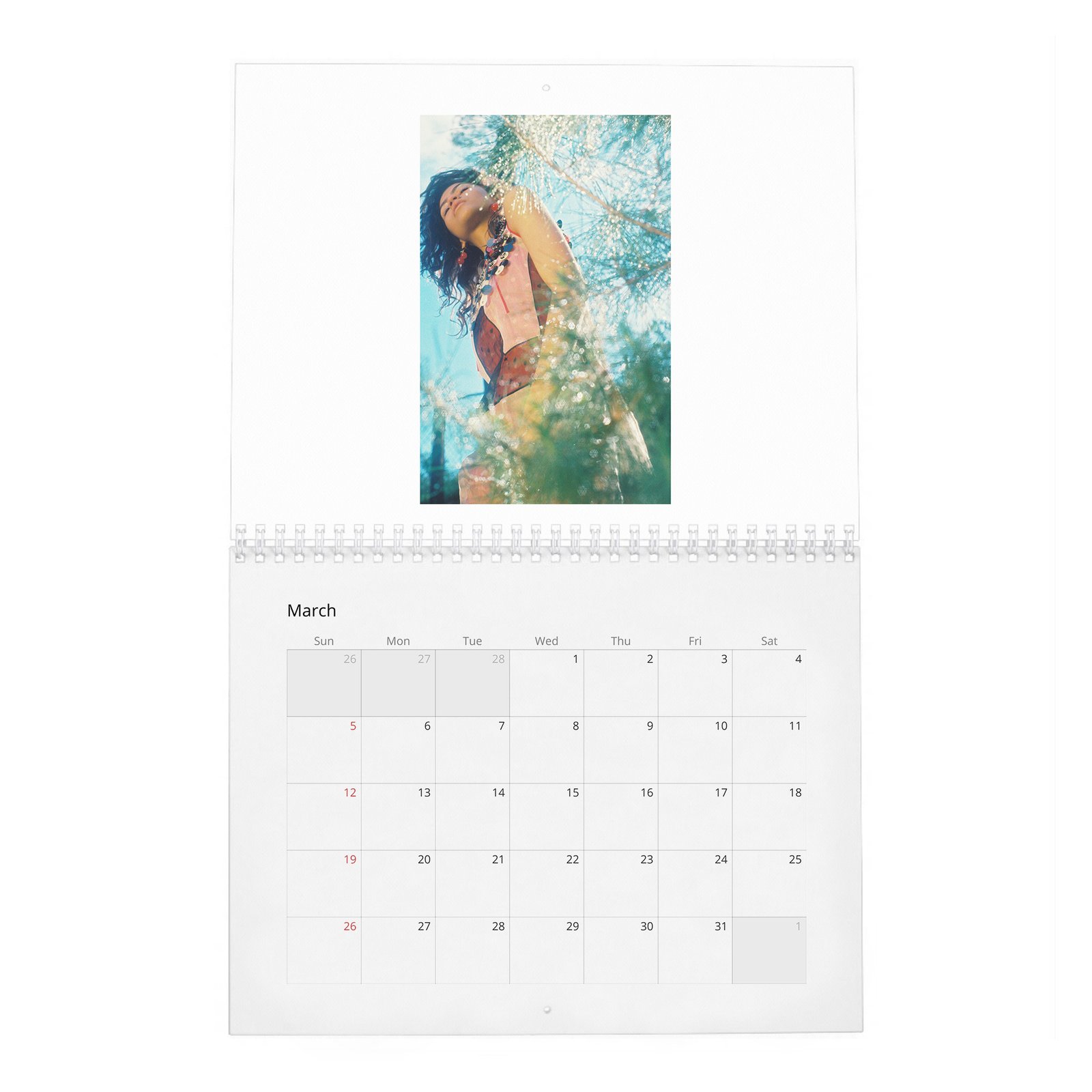 Zendaya - Wonderland 2027 Wall Calendar