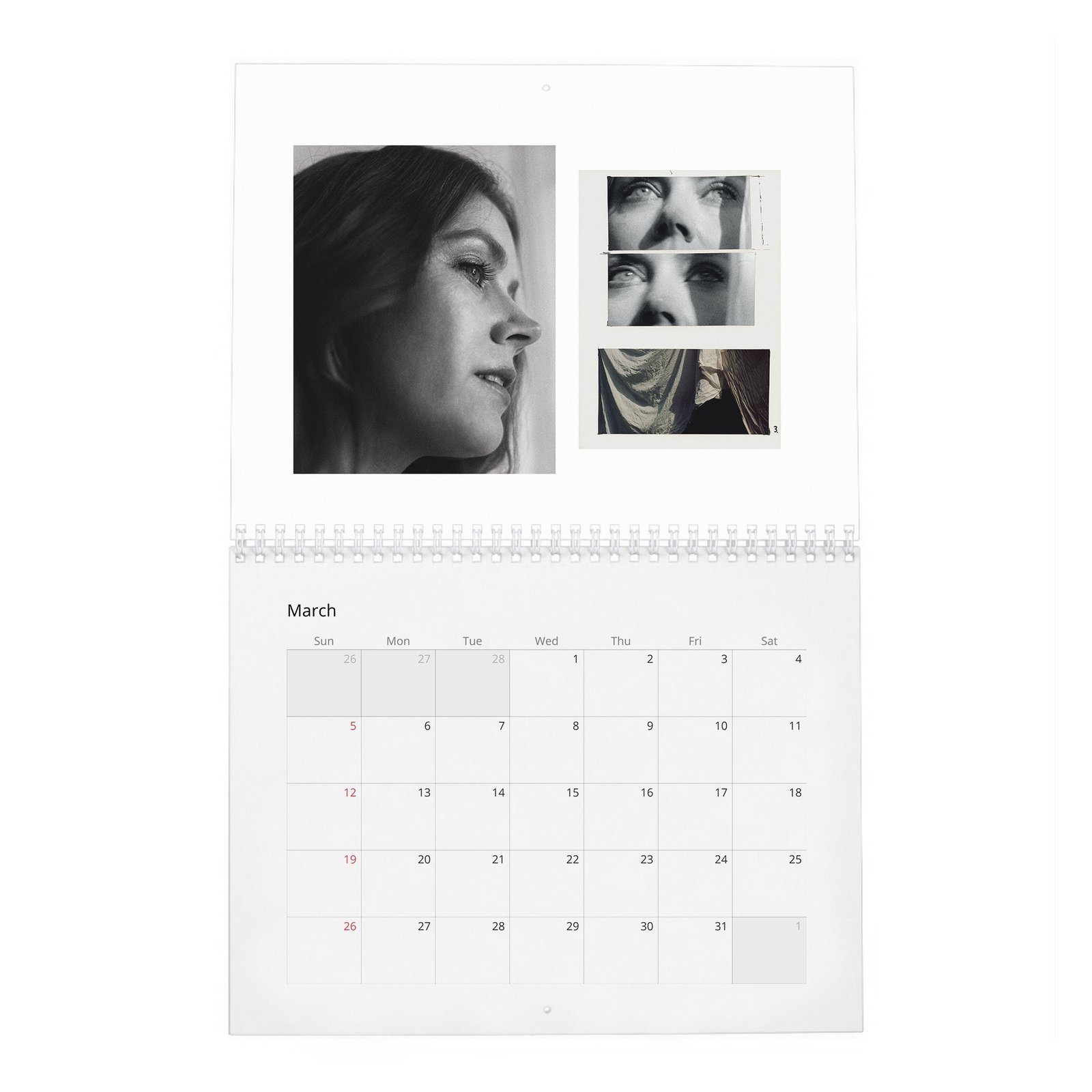 03 Amy Adams - So It Goes 2027 Wall Calendar