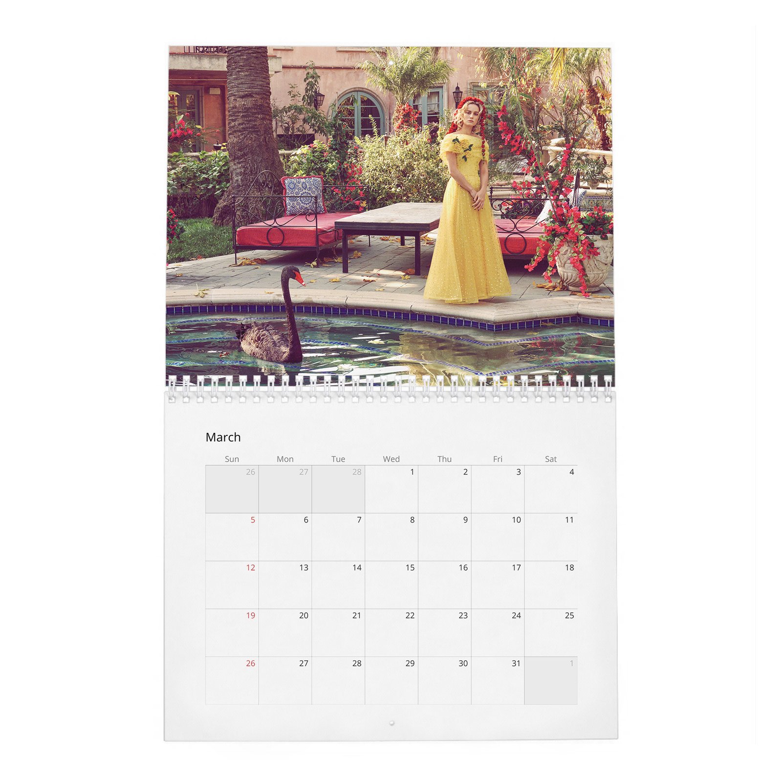 03 Brie Larson - Ready To Kick Some Ass 2027 Wall Calendar