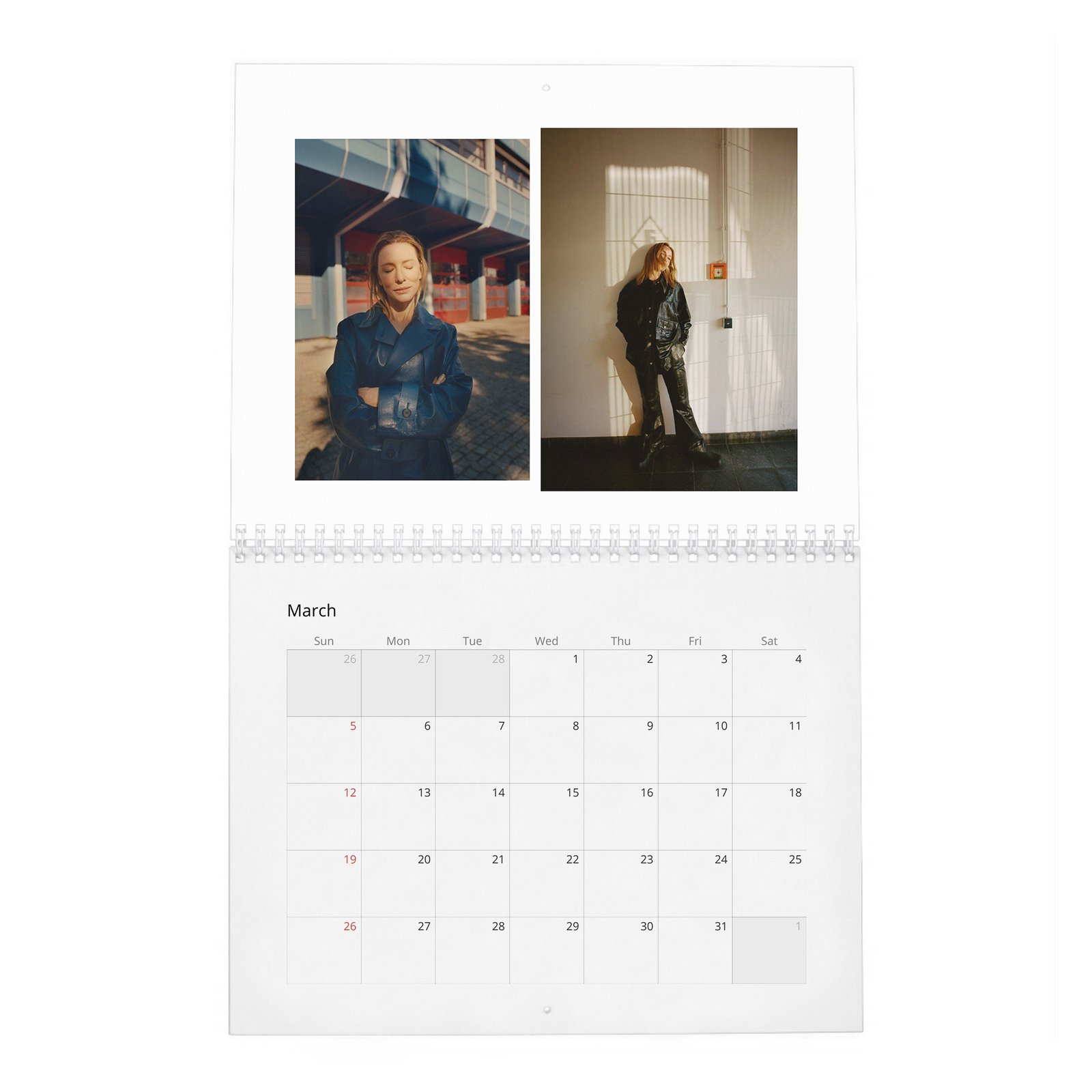 03 Cate Blanchett - Leading Light 2027 Wall Calendar