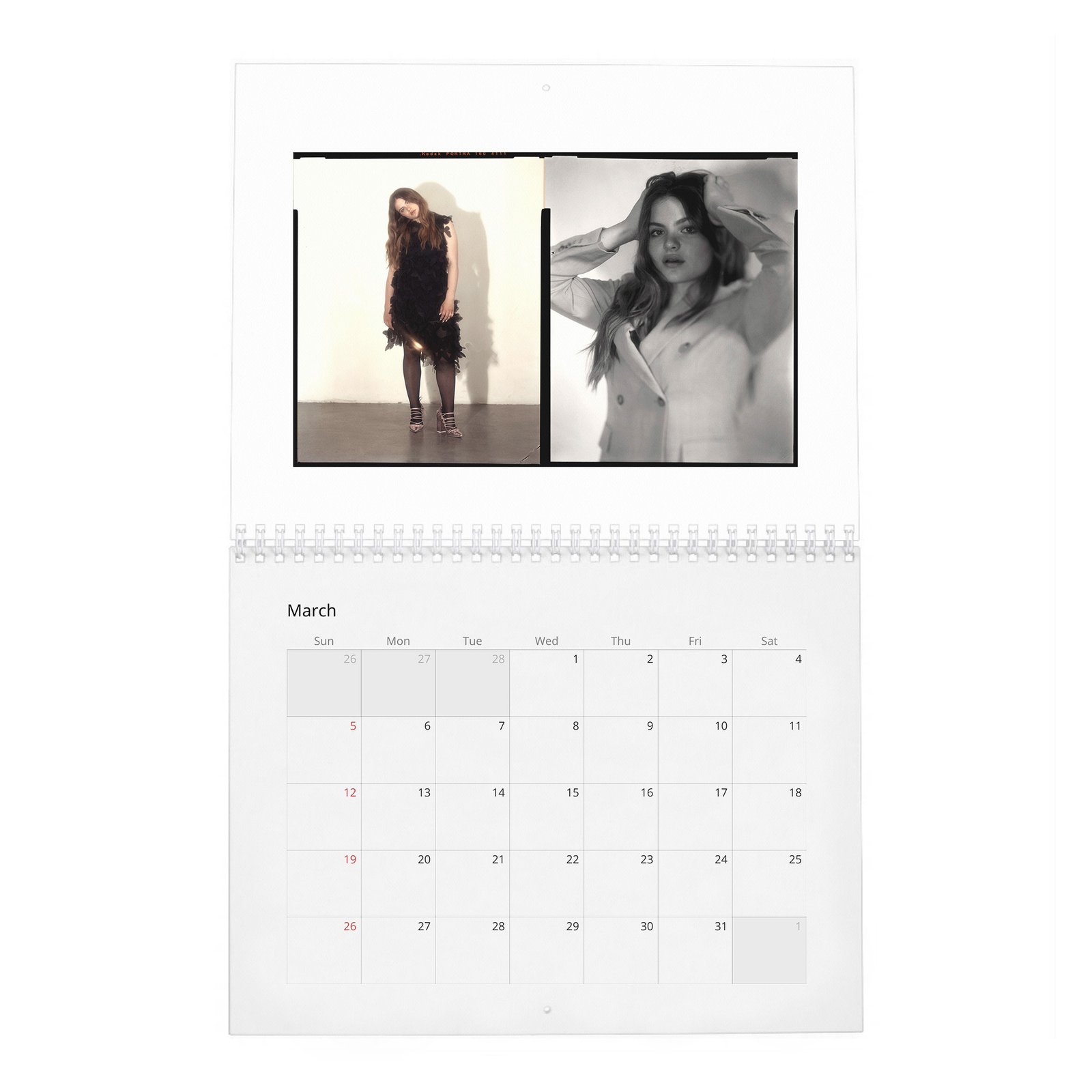 03 Chiara Aurelia - Aptitude And Ease 2027 Wall Calendar