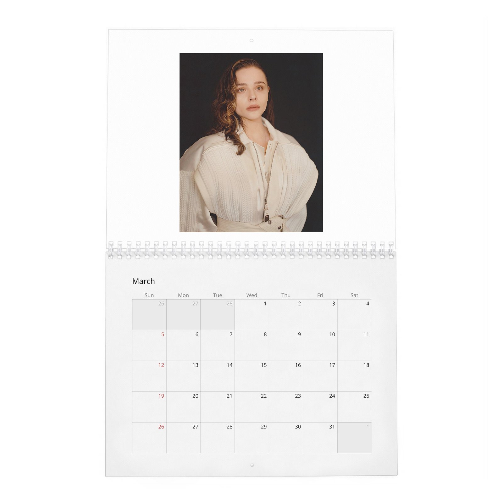 03 Chloe Grace Moretz - Wonderland 2027 Wall Calendar