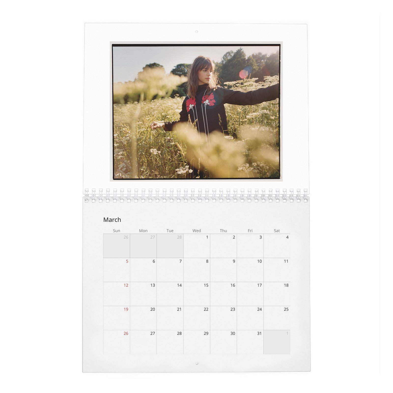 03 Daisy Edgar-Jones - Starring Breaktrough Talent 2027 Wall Calendar