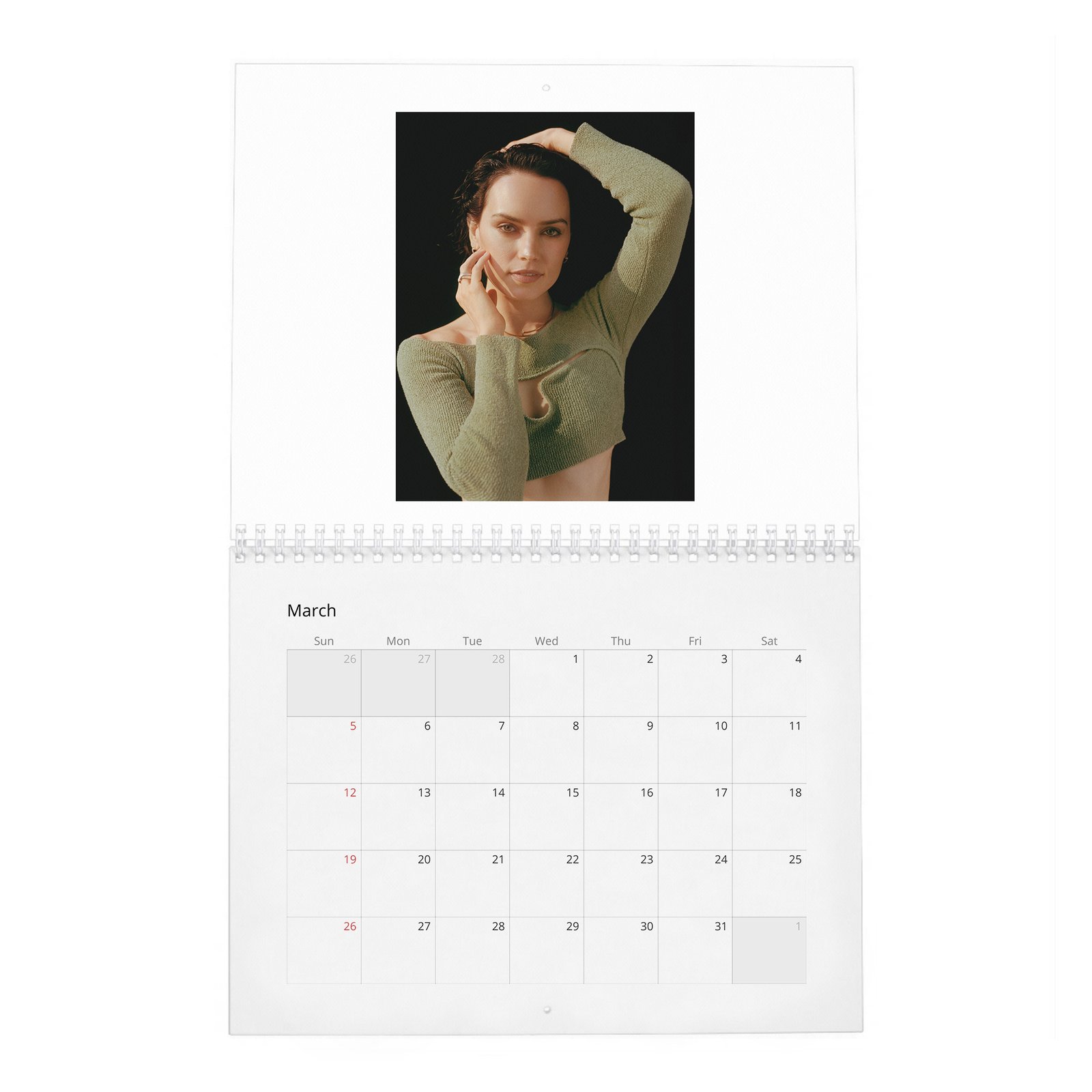 03 Daisy Ridley - Trailblazer In Her Own Right 2027 Wall Calendar