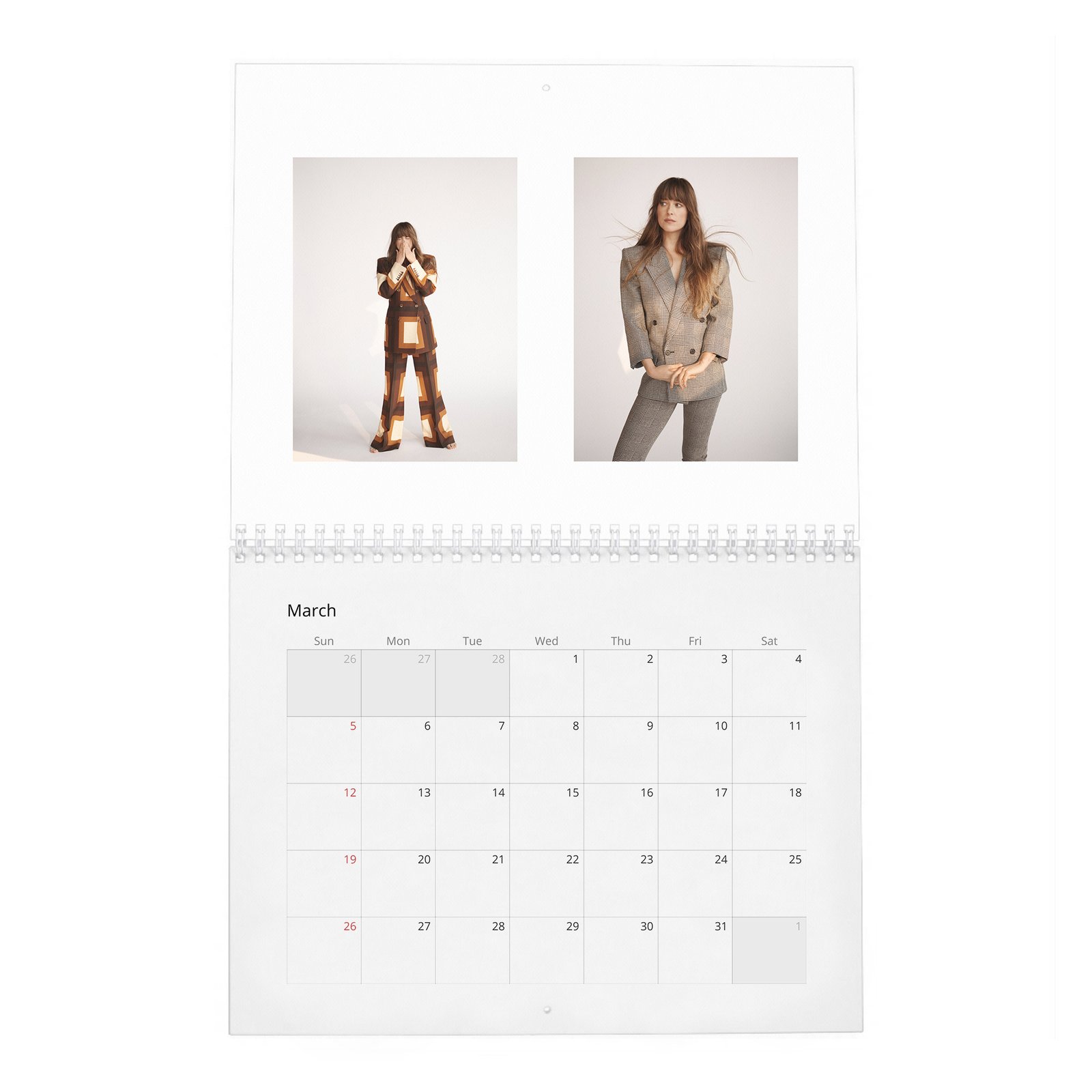 Dakota Johnson - Finding Her Light 2027 Wall Calendar