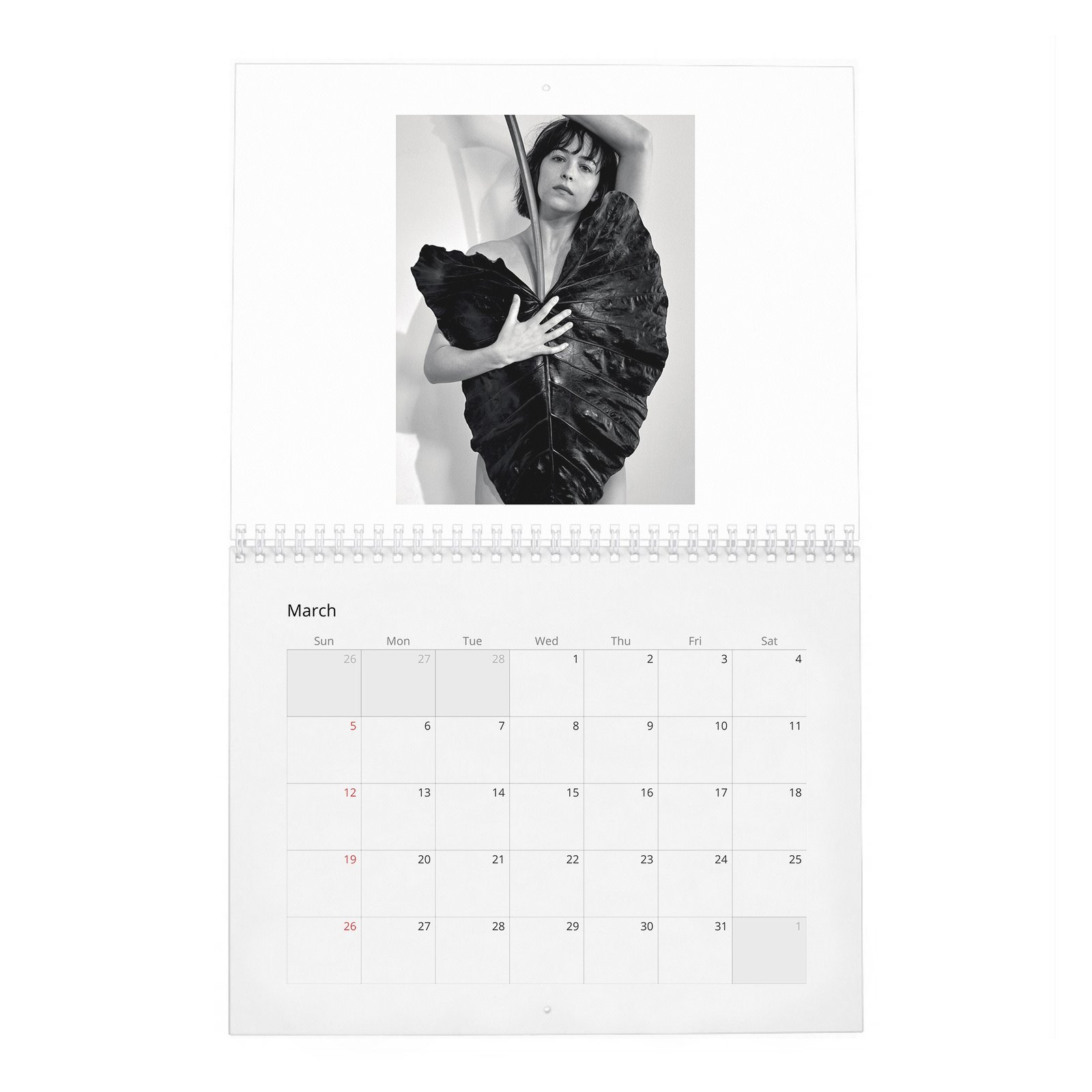 Dakota Johnson - Present A New Vision 2027 Wall Calendar