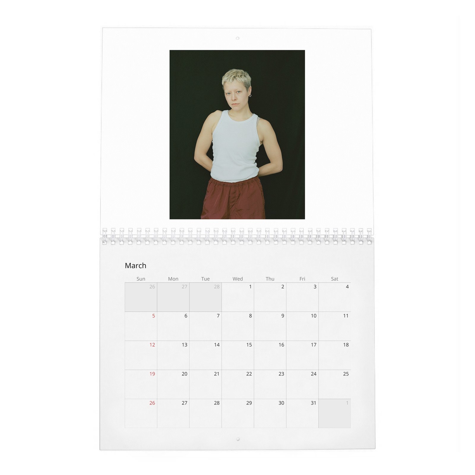 Emma D’Arcy - The Dragon Queen 2027 Wall Calendar