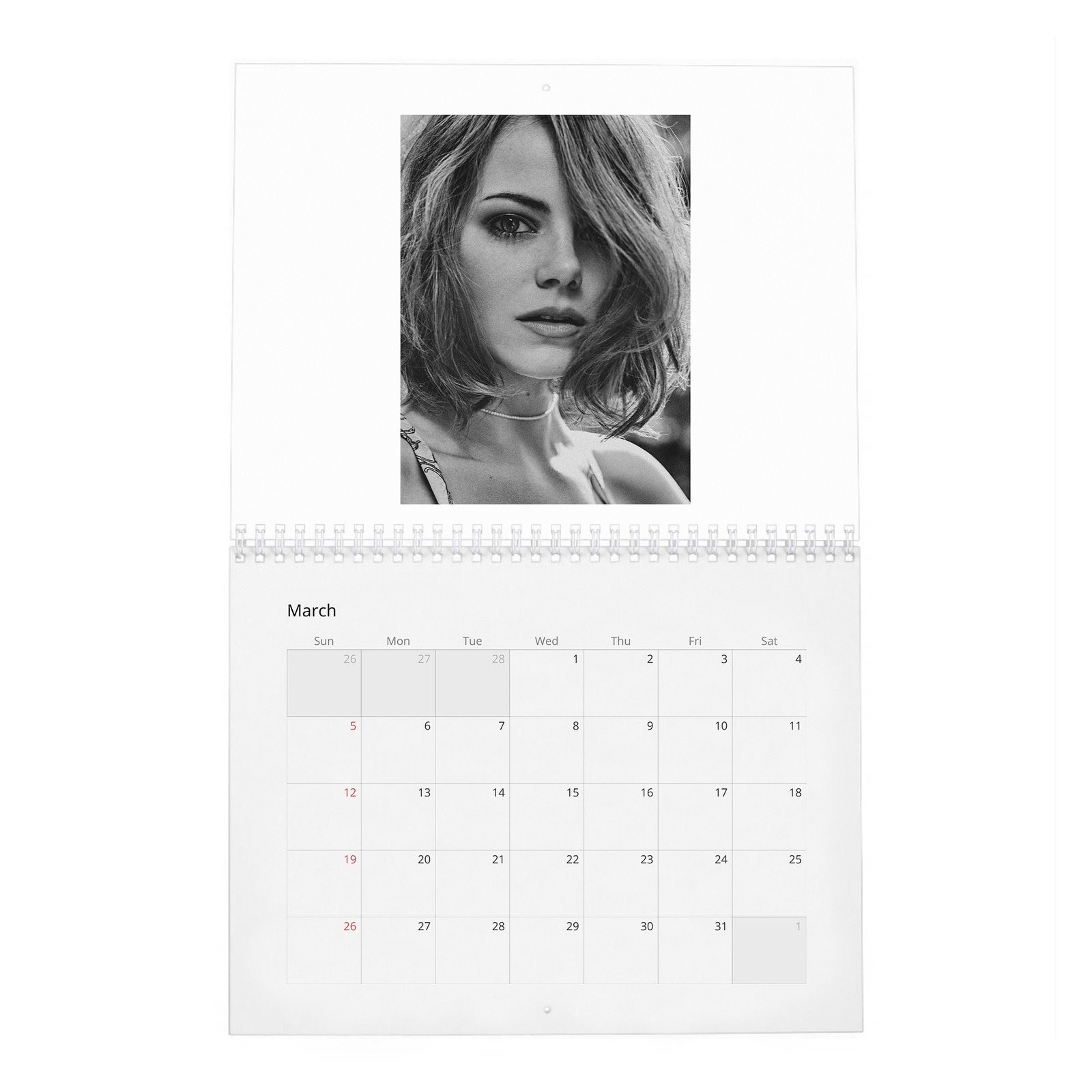 03 Emma Stone - Interview 2027 Wall Calendar