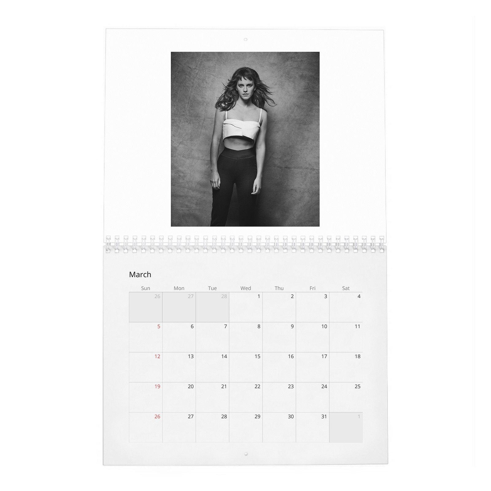 Emma Watson - Voice For Change 2027 Wall Calendar