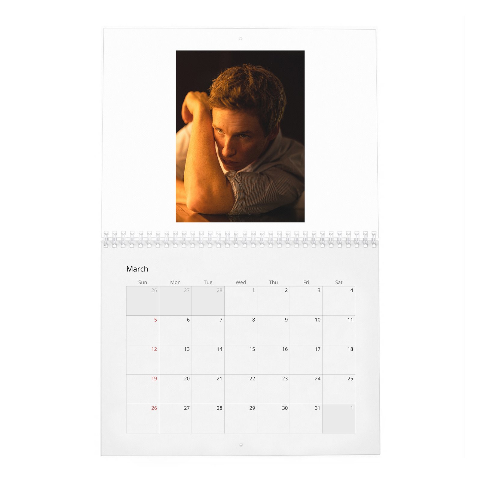 Eddie Redmayne - In Theory It Has Everything 2027 Wall Calendar