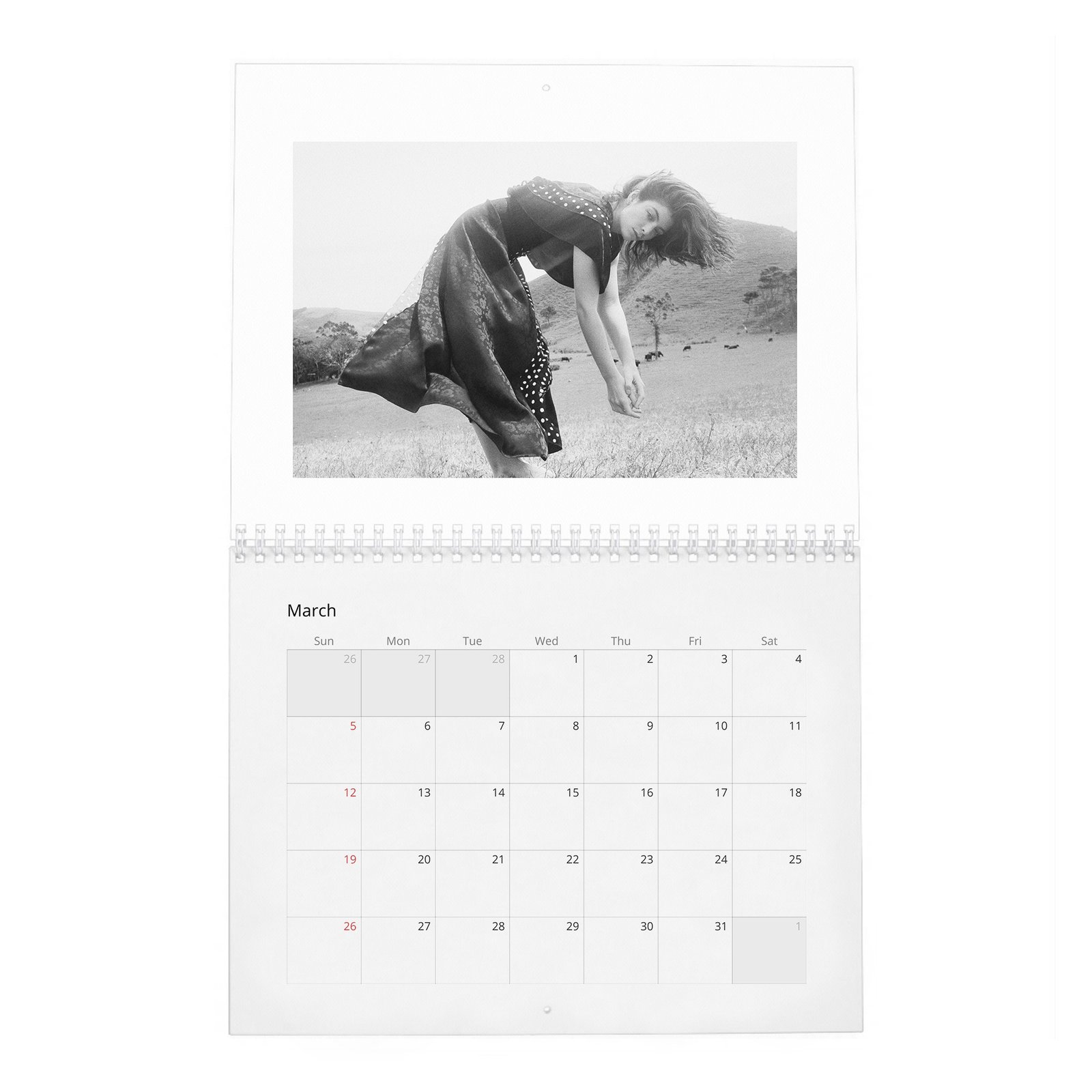 03 Lorde - Be True 2027 Wall Calendar