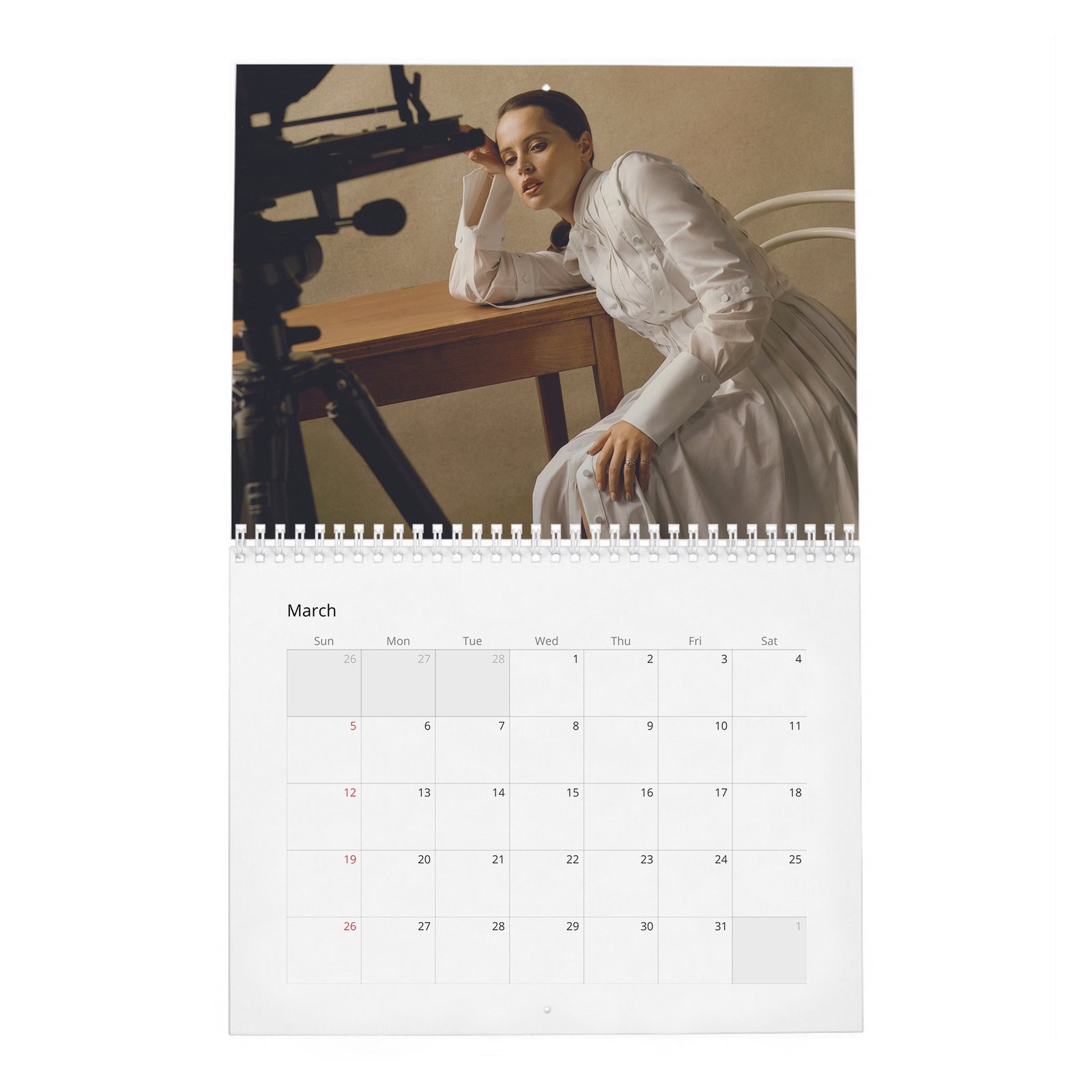Felicity Jones - Rebel With A Cause 2027 Wall Calendar