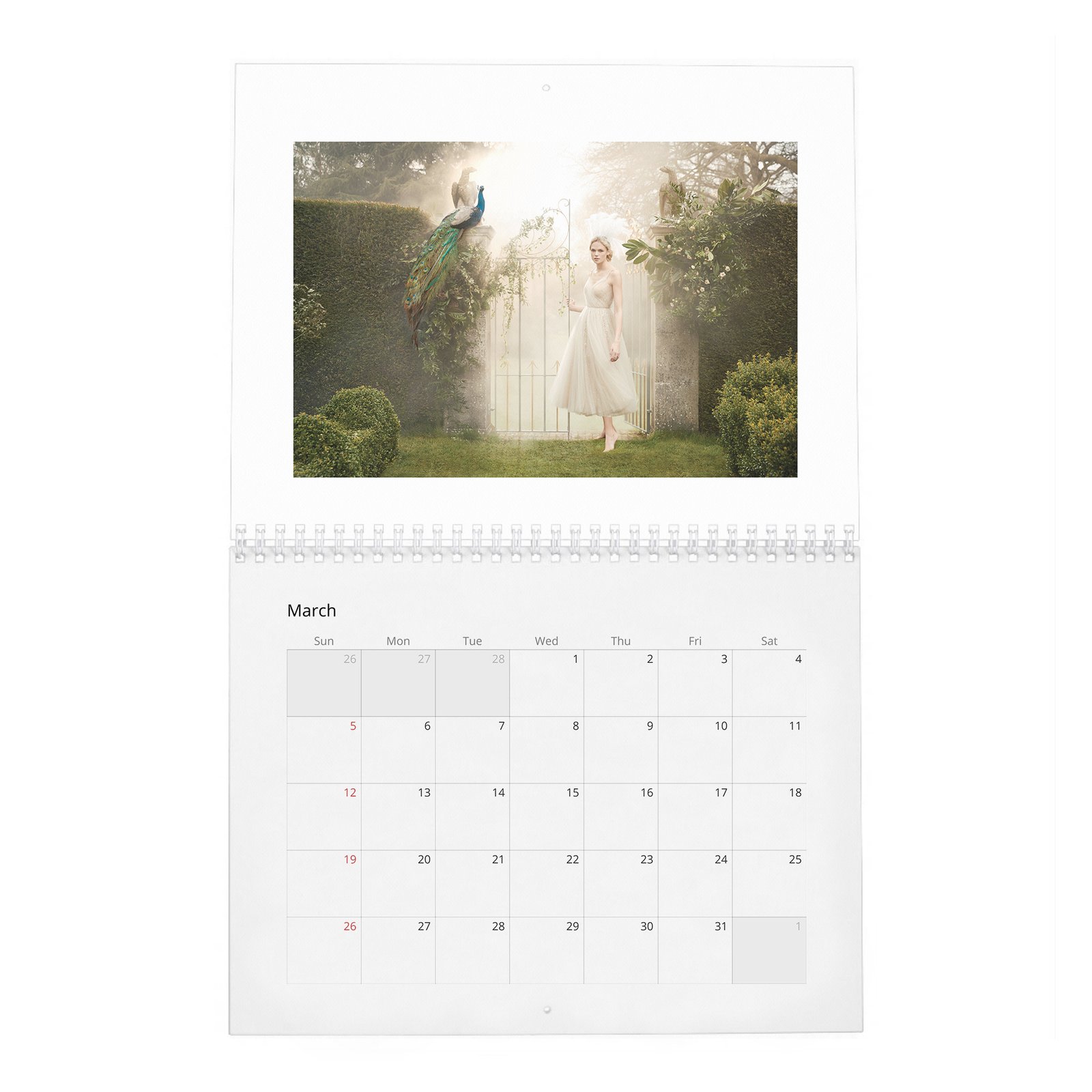 Gabriella Wilde - In Fine Feather 2027 Wall Calendar