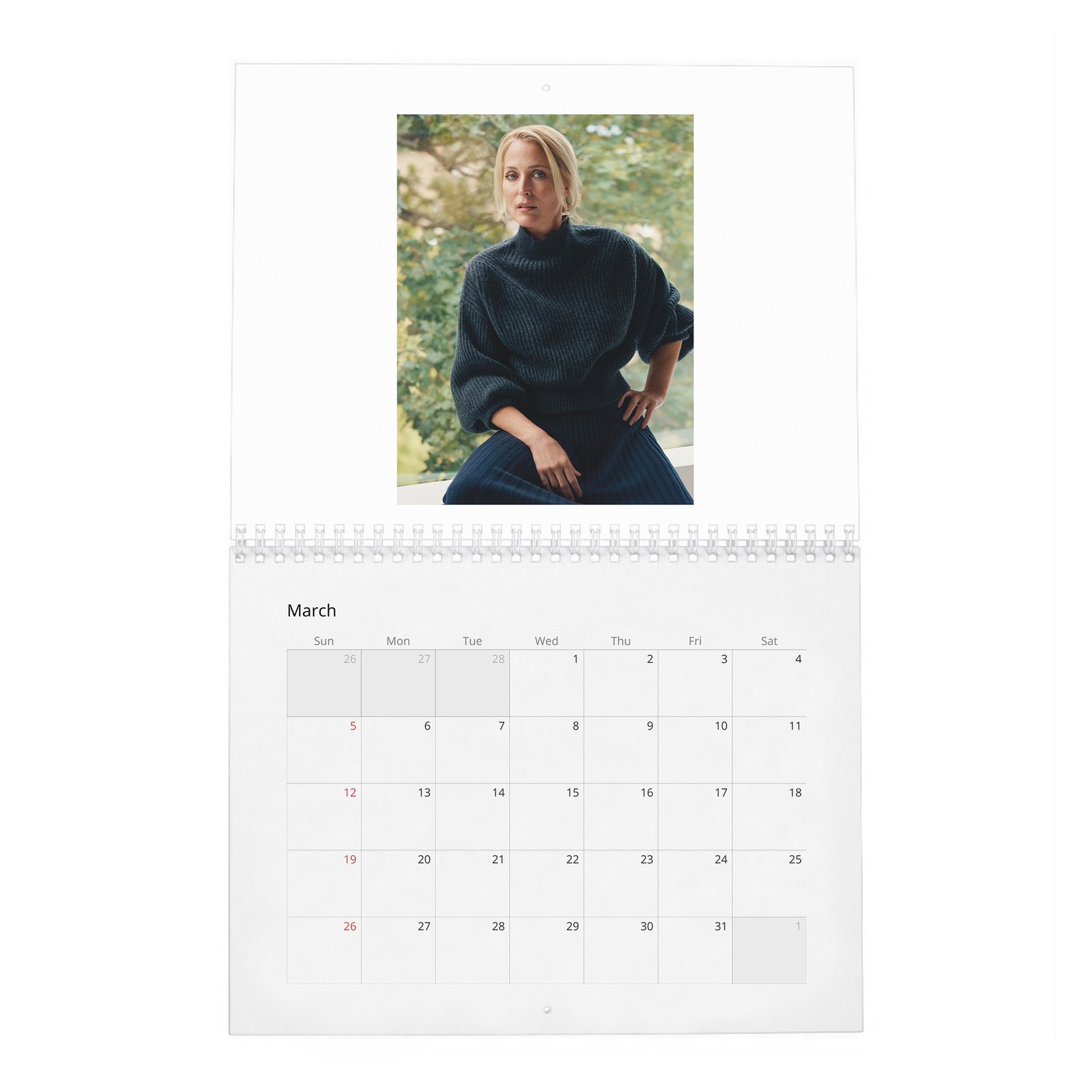 03 Gillian Anderson - Prime Time 2027 Wall Calendar