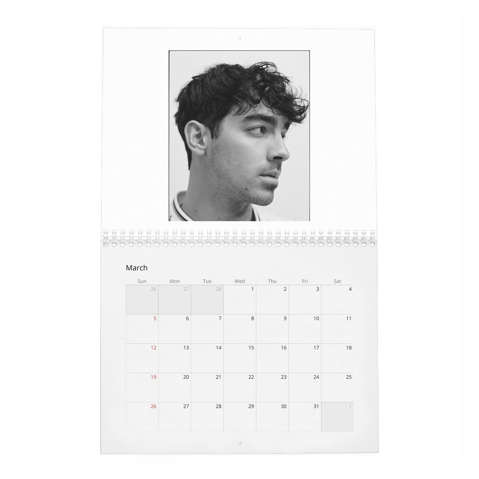 03 Jonas Brothers - Wonderland 2027 Wall Calendar