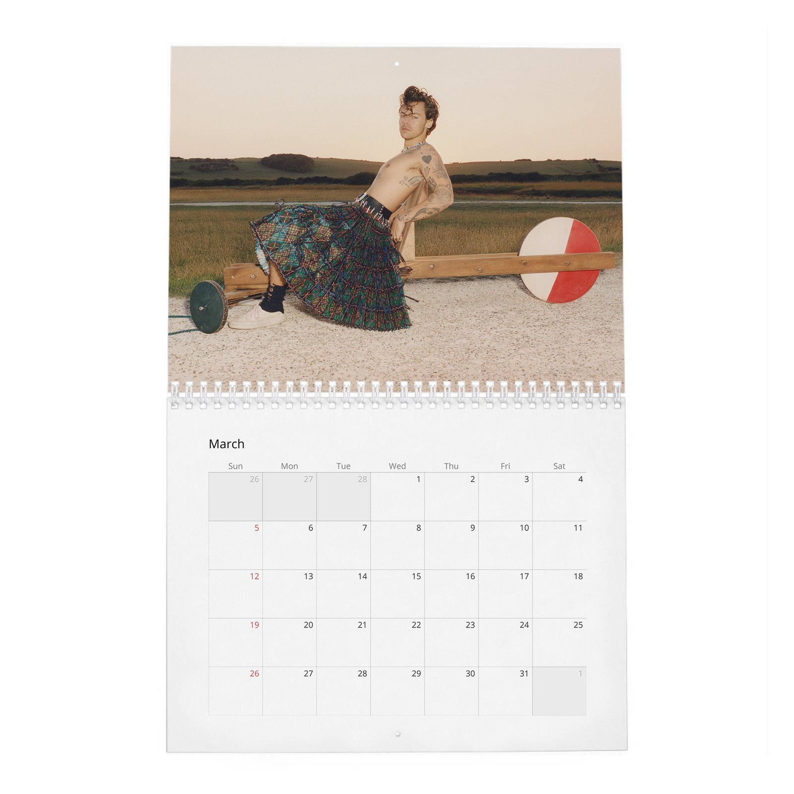 03 Harry Styles - Playtime 2027 Wall Calendar