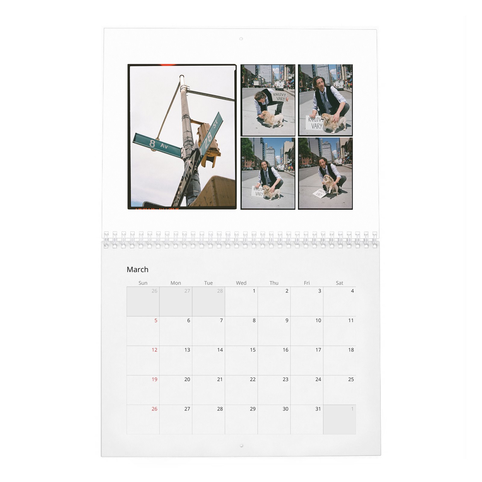 03 Adrien Brody - The Amazing Adrian 2027 Wall Calendar