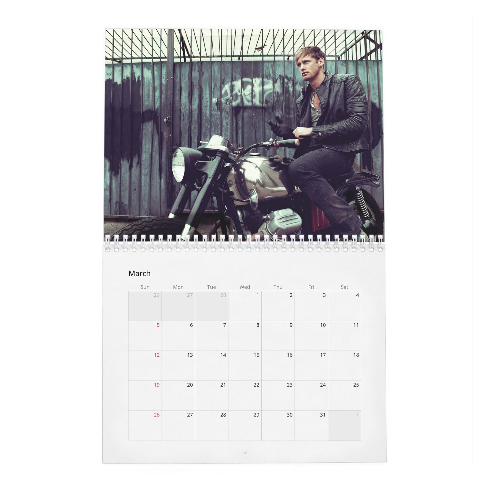 03 Alexander Skarsgard - Knockout At Fortune Gym 2027 Wall Calendar