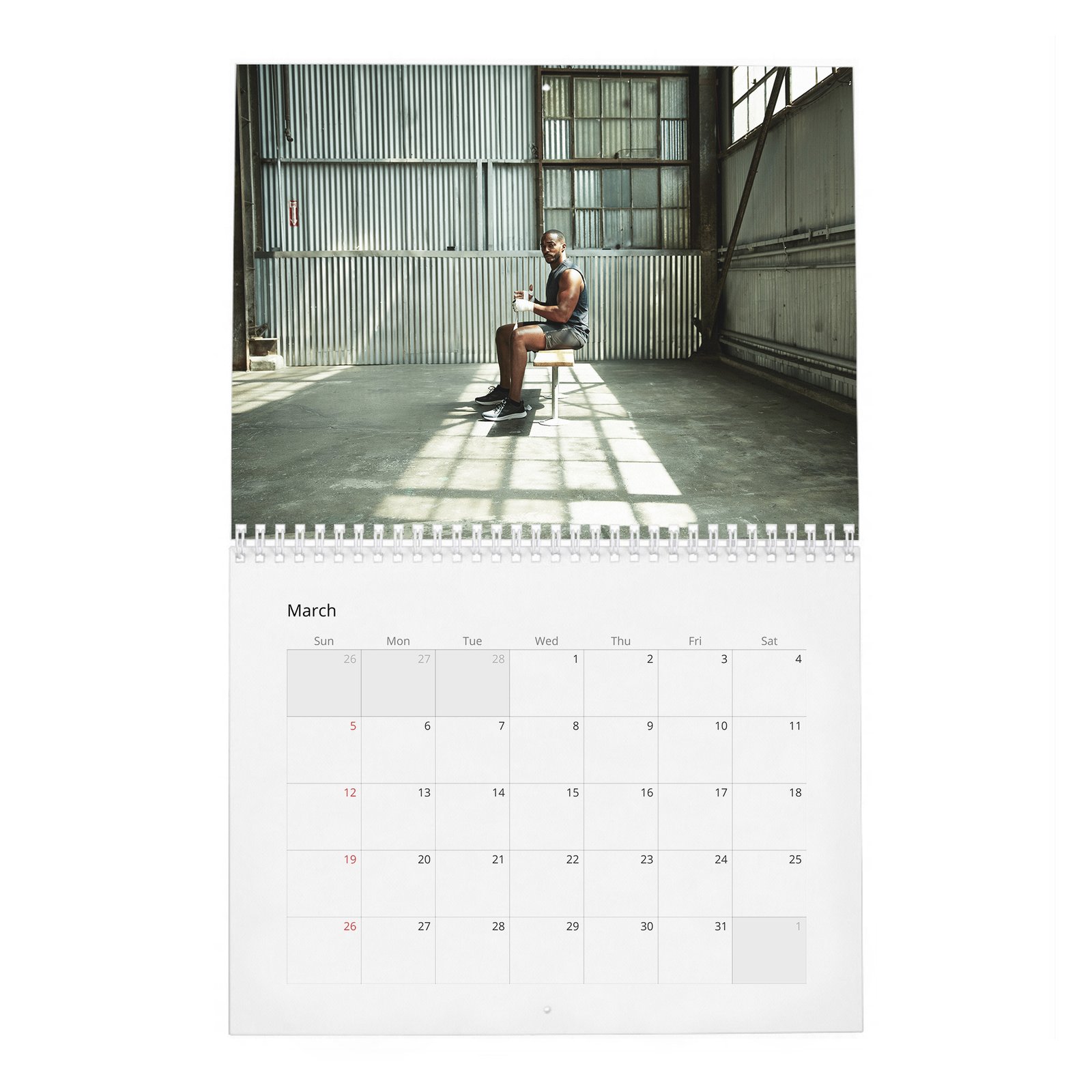 03 Anthony Mackie - Your New Captain 2027 Wall Calendar