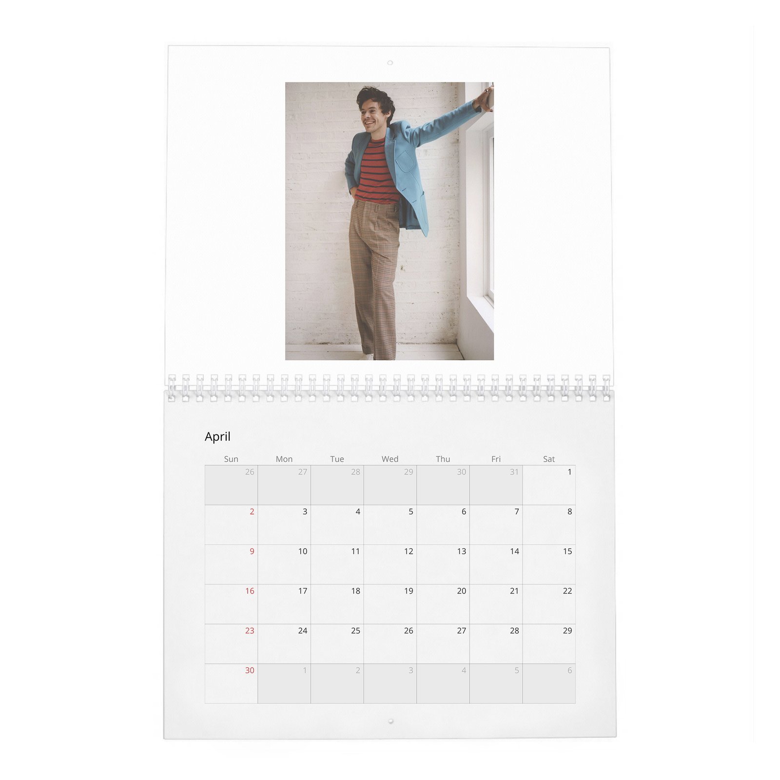 04 Harry Styles - House of Styles 2027 Wall Calendar