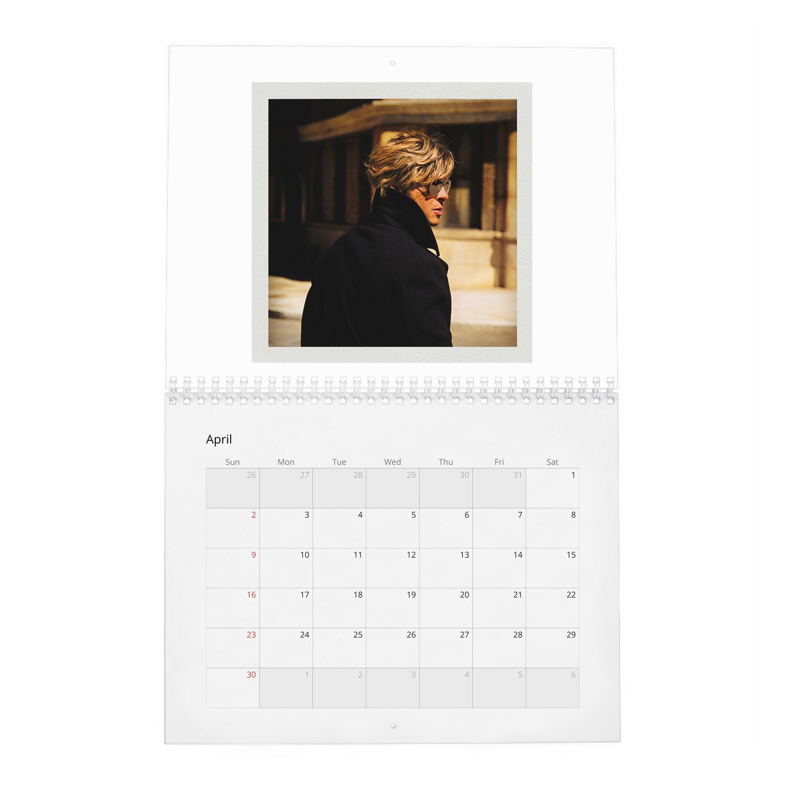 Brad Pitt - Born To Be Brad 2027 Wall Calendar