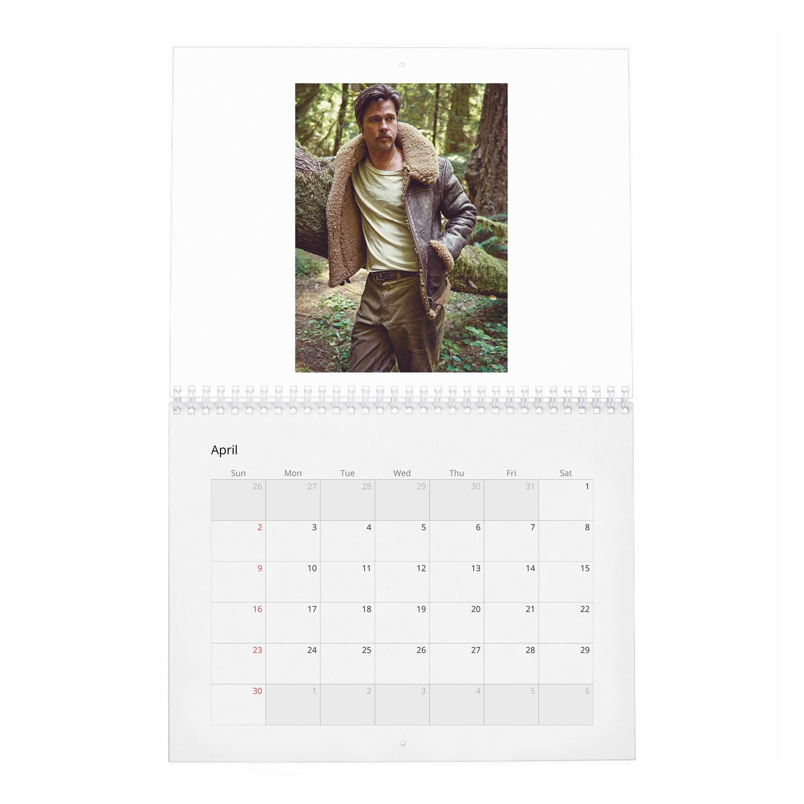04 Brad Pitt - Forest Soul 2027 Wall Calendar