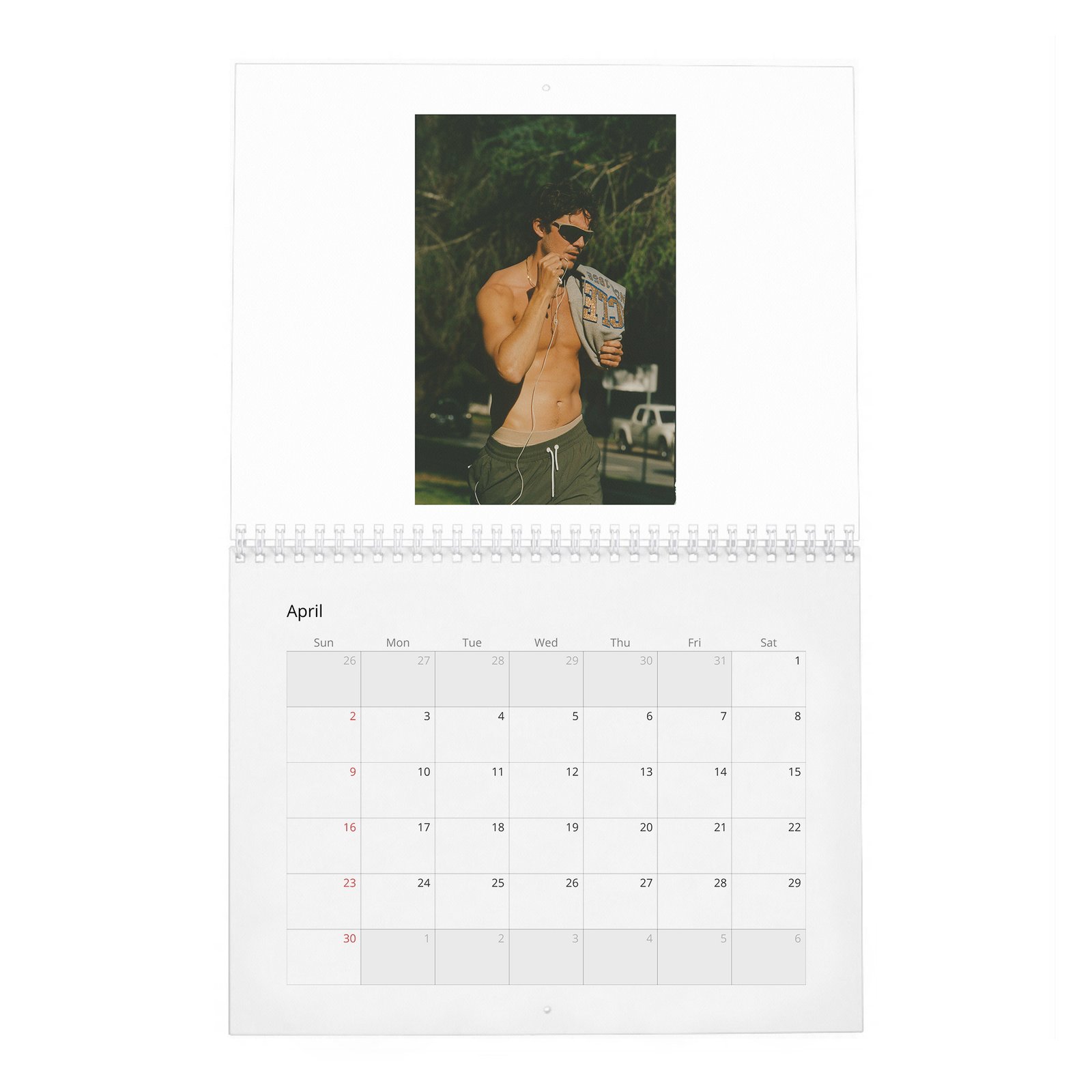 04 Cesar Domboy - Flaunt 2027 Wall Calendar