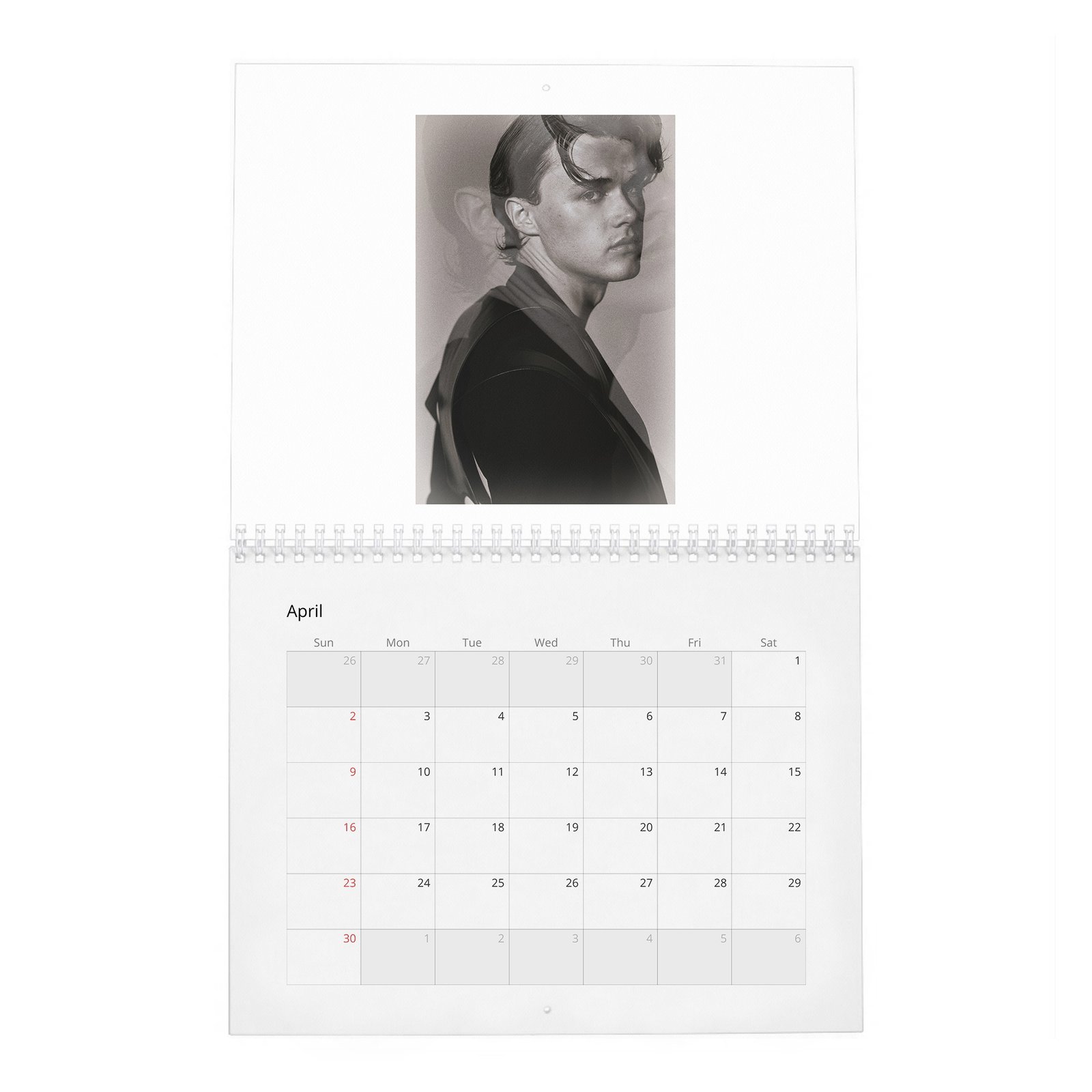 Christopher Briney - New Star 2027 Wall Calendar