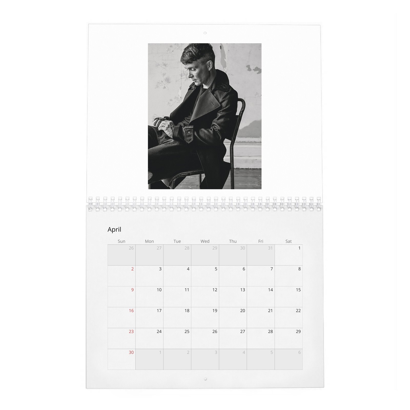 04 Cillian Murphy - Actor Of The Year 2027 Wall Calendar