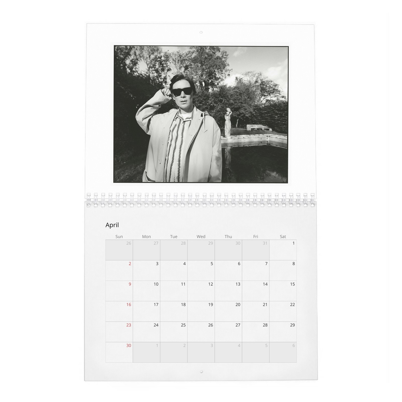 04 Cillian Murphy - Field Of His Own 2027 Wall Calendar