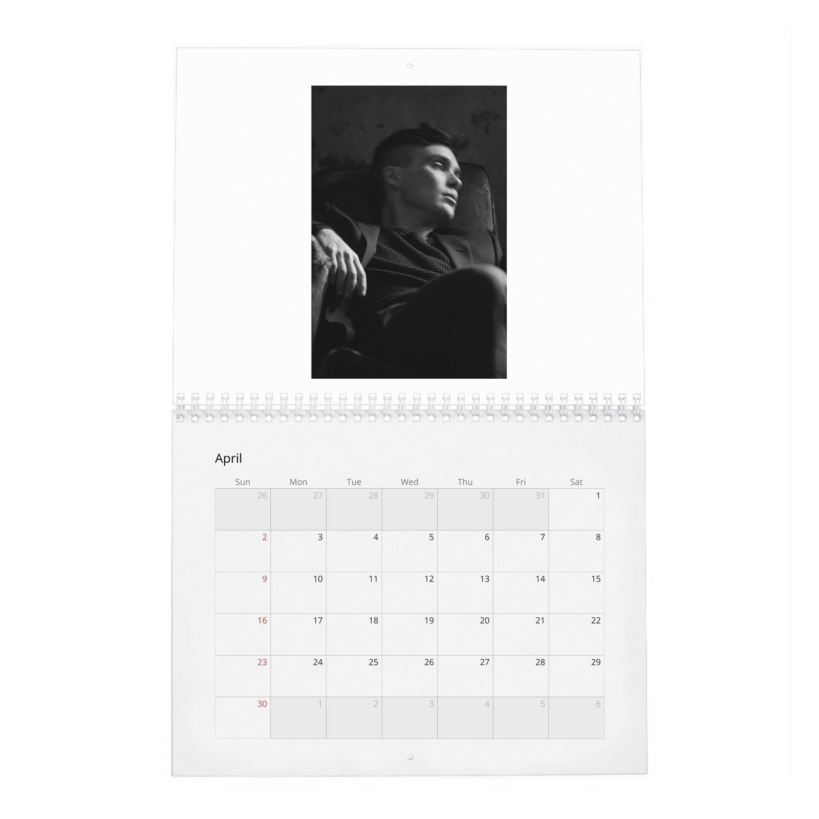 04 Cillian Murphy - So It Goes 2027 Wall Calendar