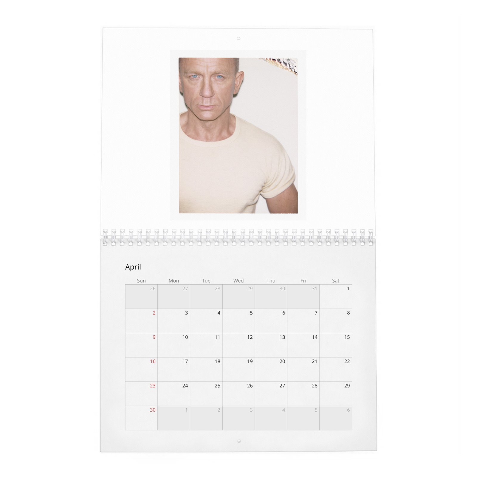 04 Daniel Craig - Heart Of An Assassin 2027 Wall Calendar