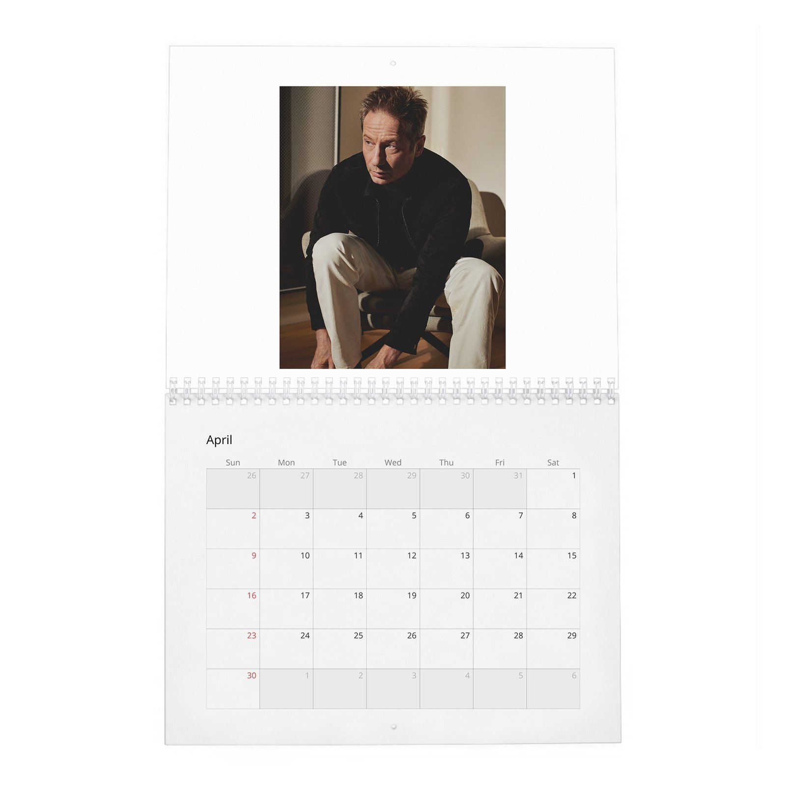 David Duchovny - Weekend In The Life 2027 Wall Calendar