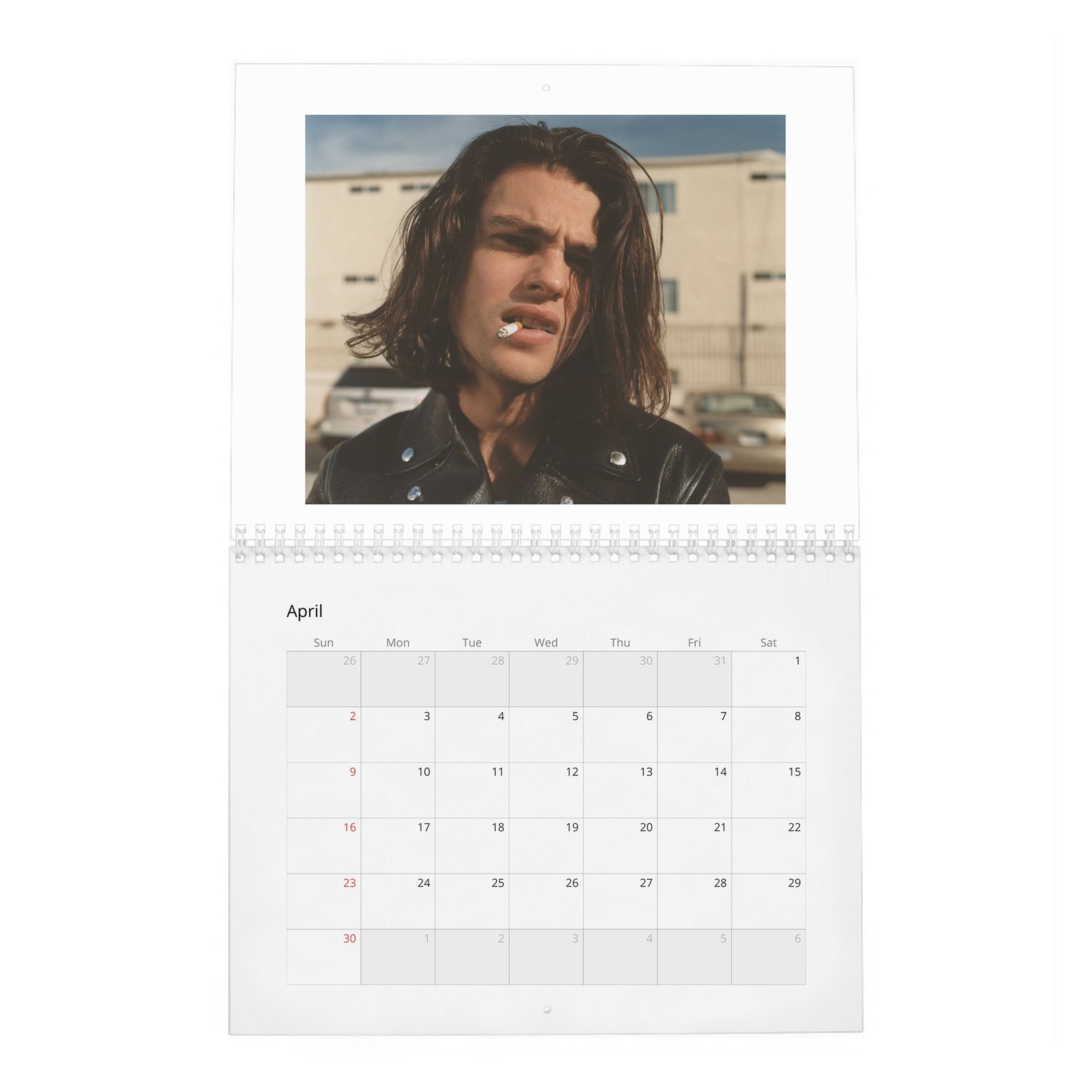 Felix Mallard - Flaunt 2027 Wall Calendar