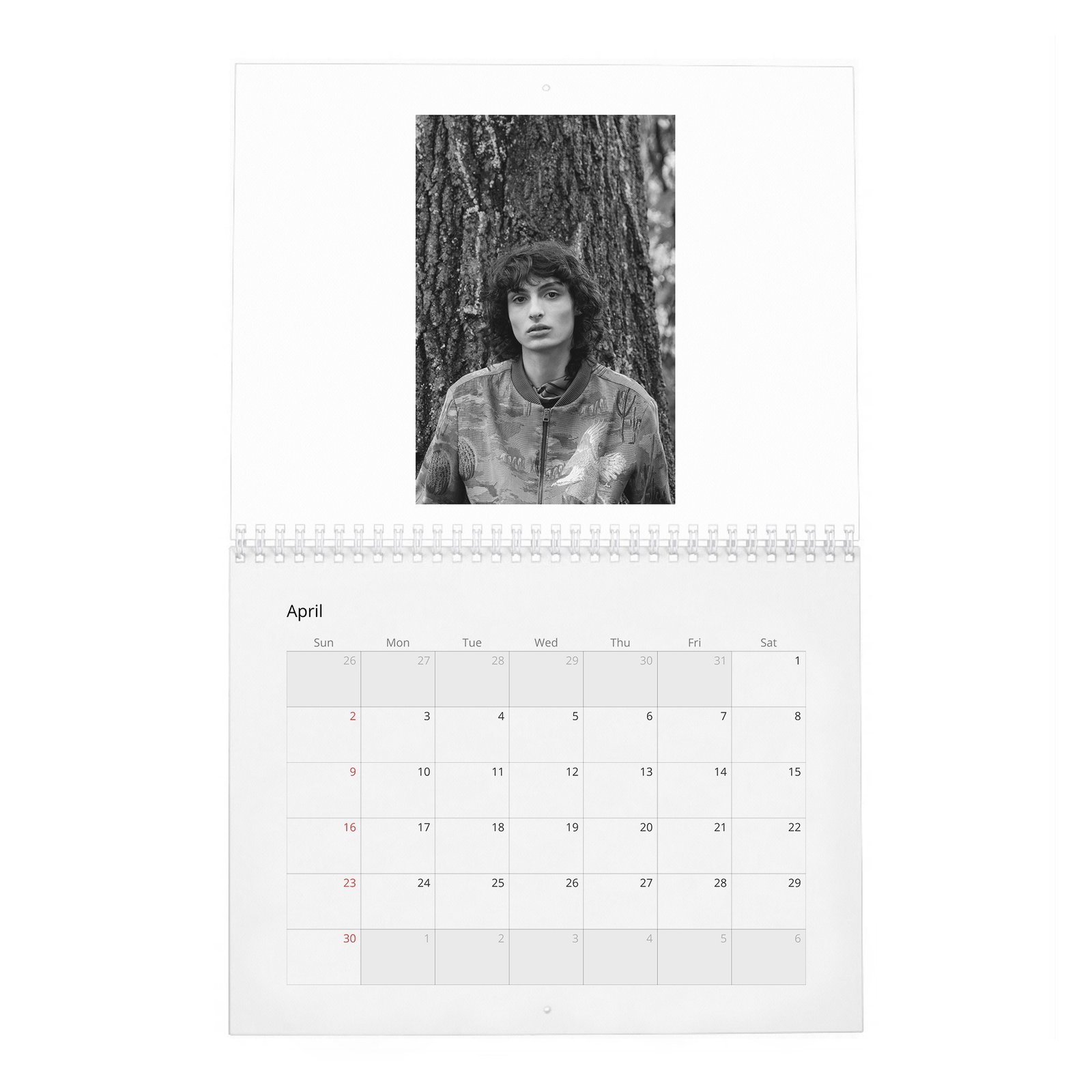 04 Finn Wolfhard - Stranger Teen 2027 Wall Calendar