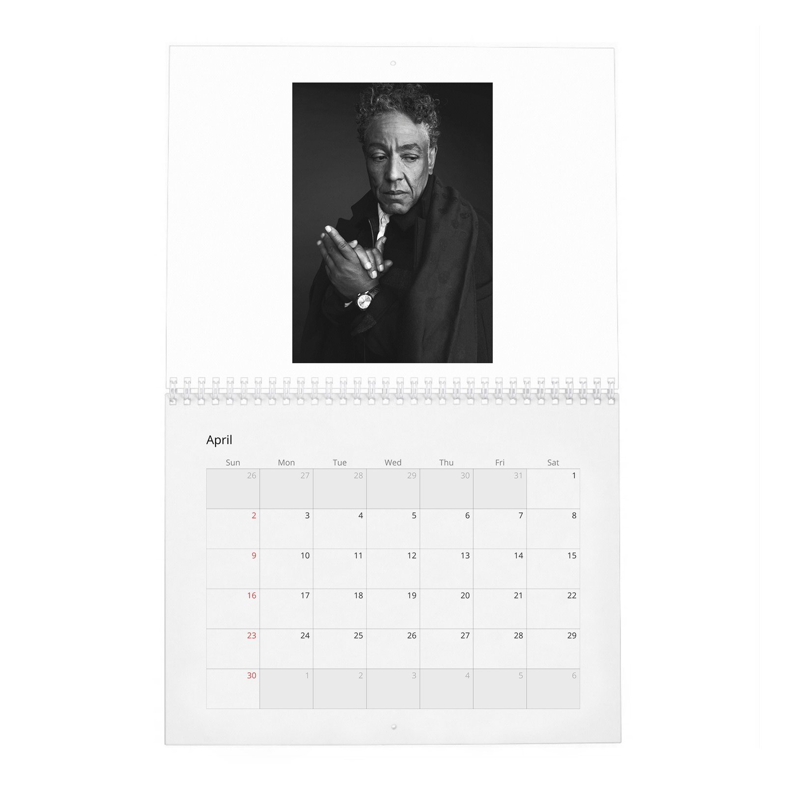 04 Giancarlo Esposito - Rogue 2027 Wall Calendar