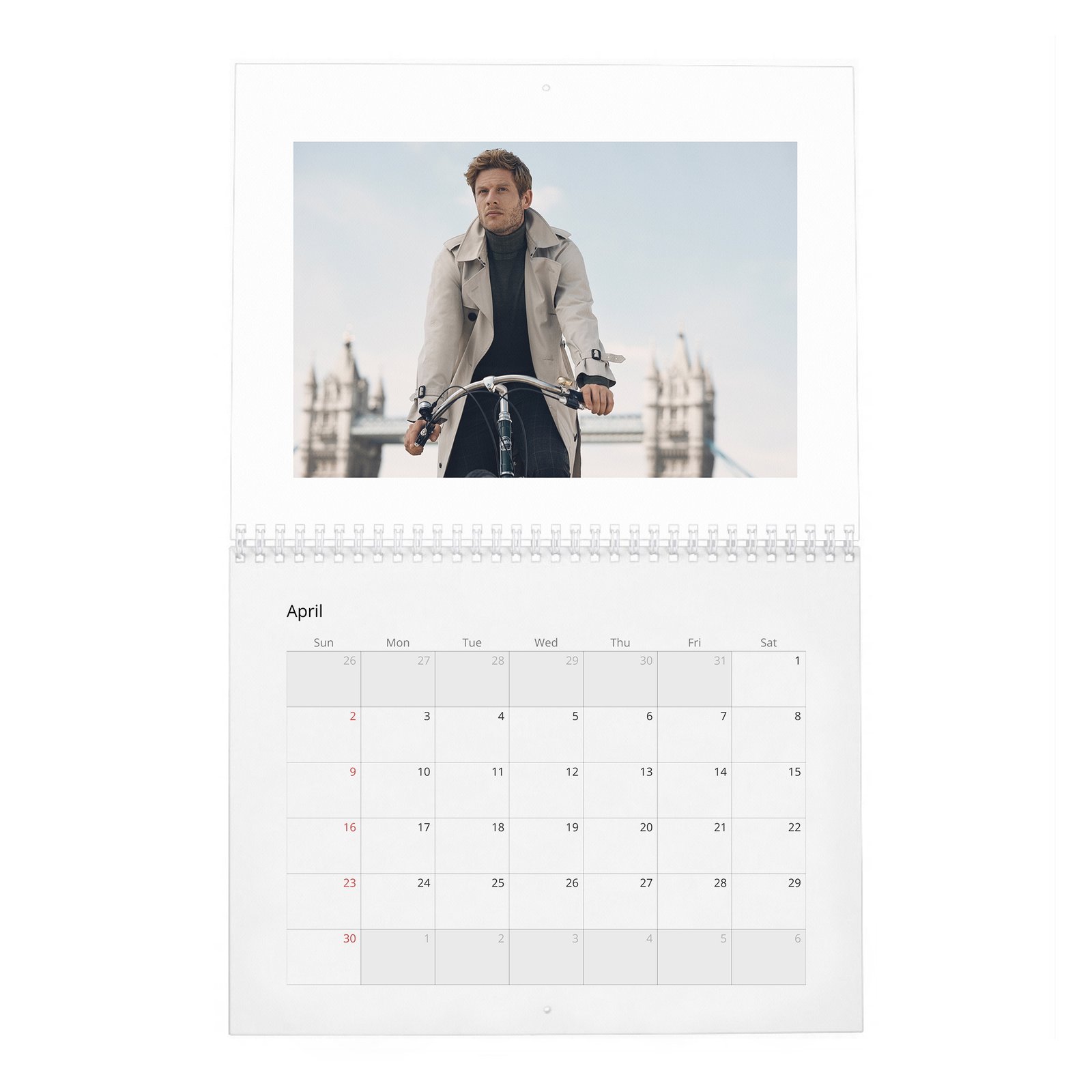 James Franco - The Real 2027 Wall Calendar
