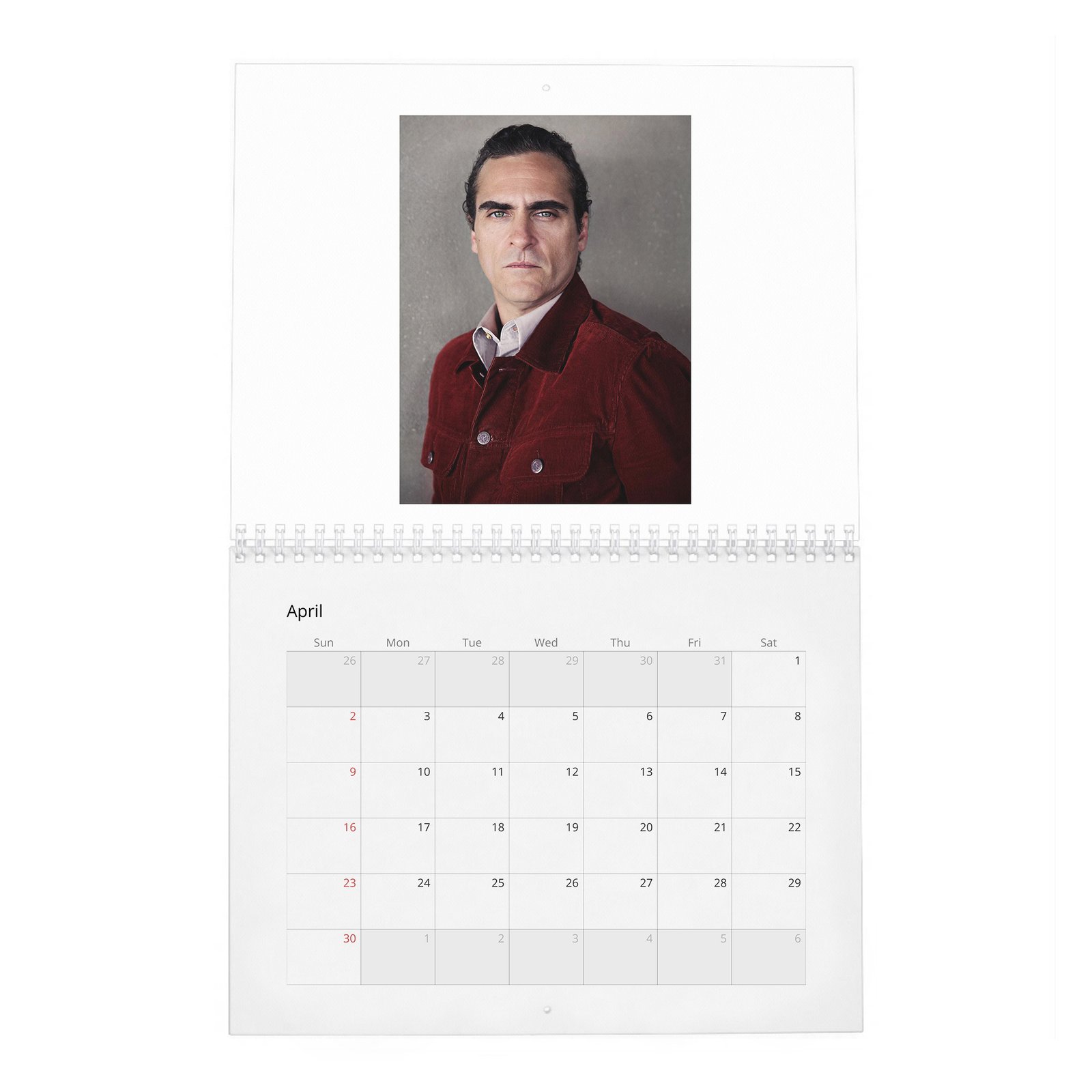 04 Joaquin Phoenix - Hollywood Rebel 2027 Wall Calendar