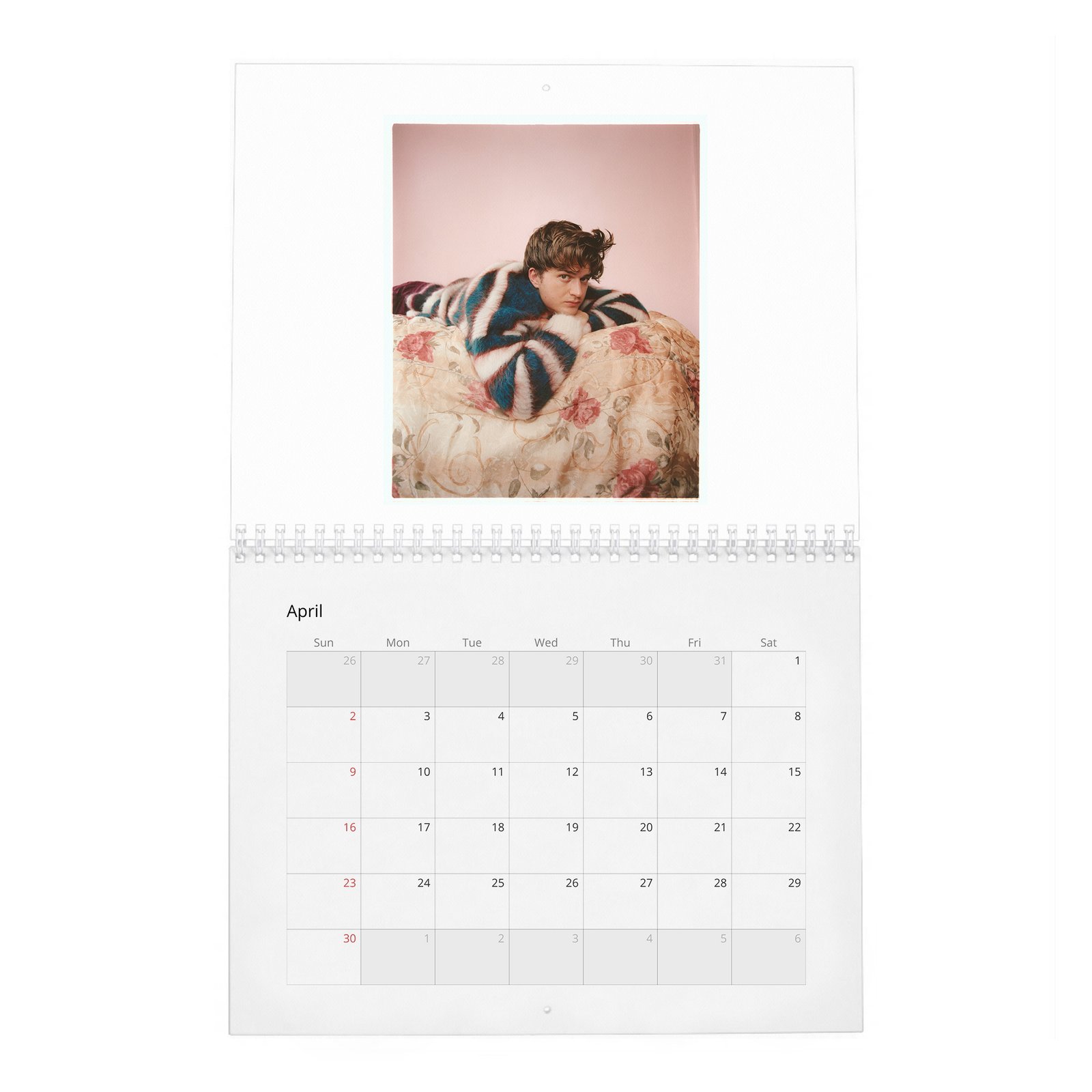 Joe Keery - Levels Up 2027 Wall Calendar