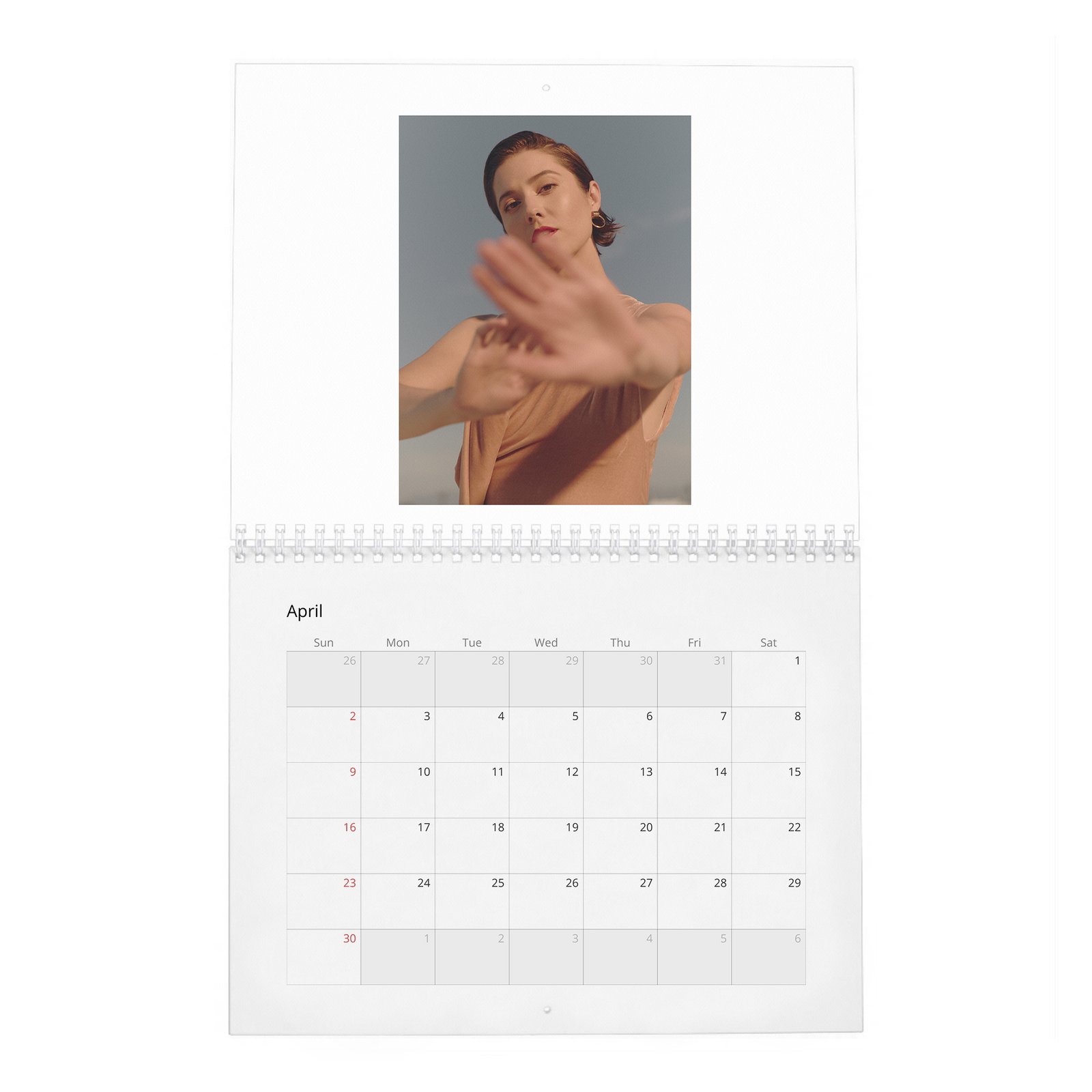 04 Mary Elizabeth Winstead - Laterals 2027 Wall Calendar