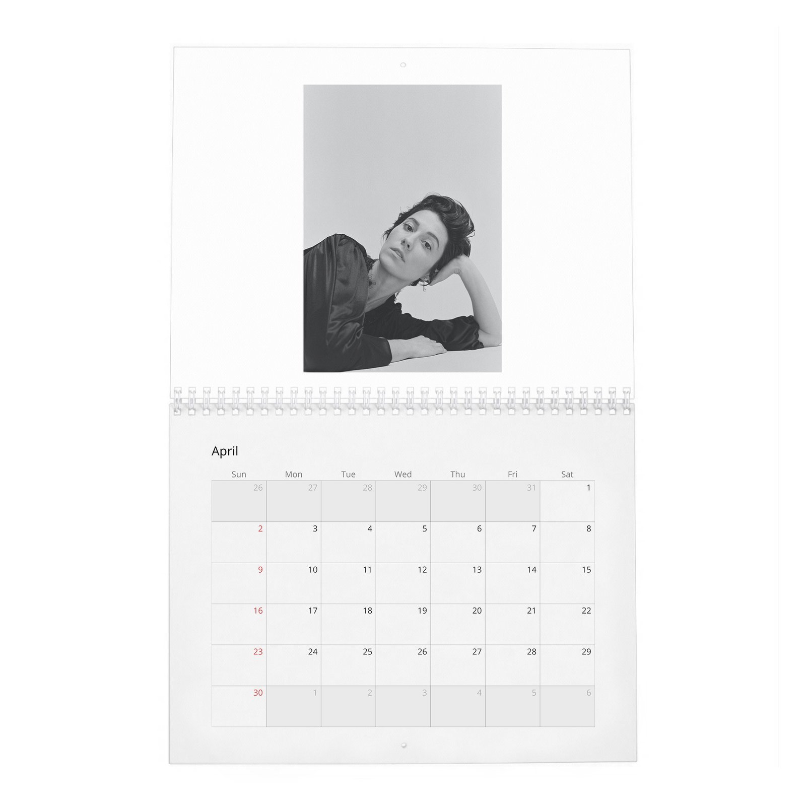 04 Mary Elizabeth Winstead - She Loves Playing The Badass 2027 Wall Calendar