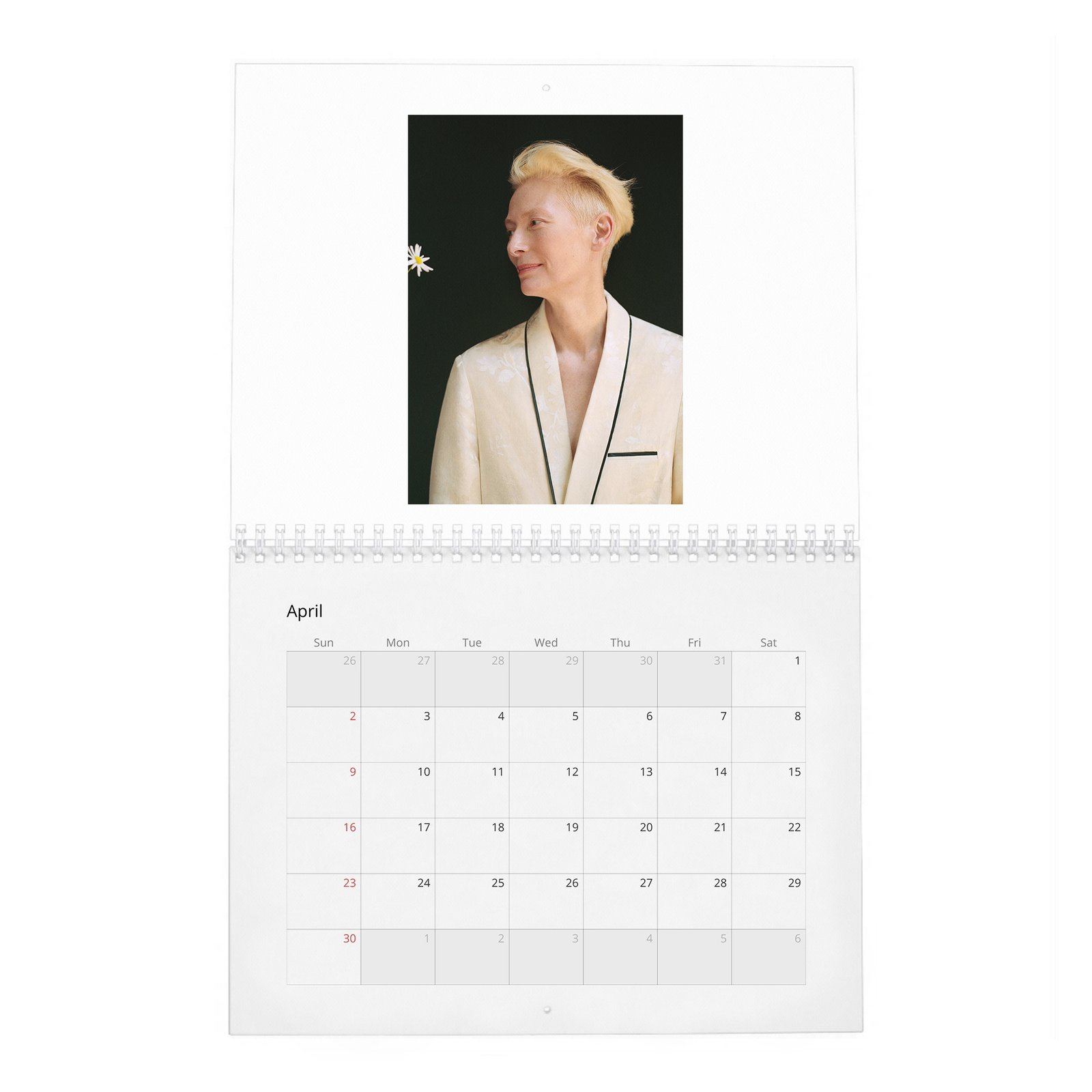 04 Tilda Swinton - Cine-Nerd 2027 Wall Calendar