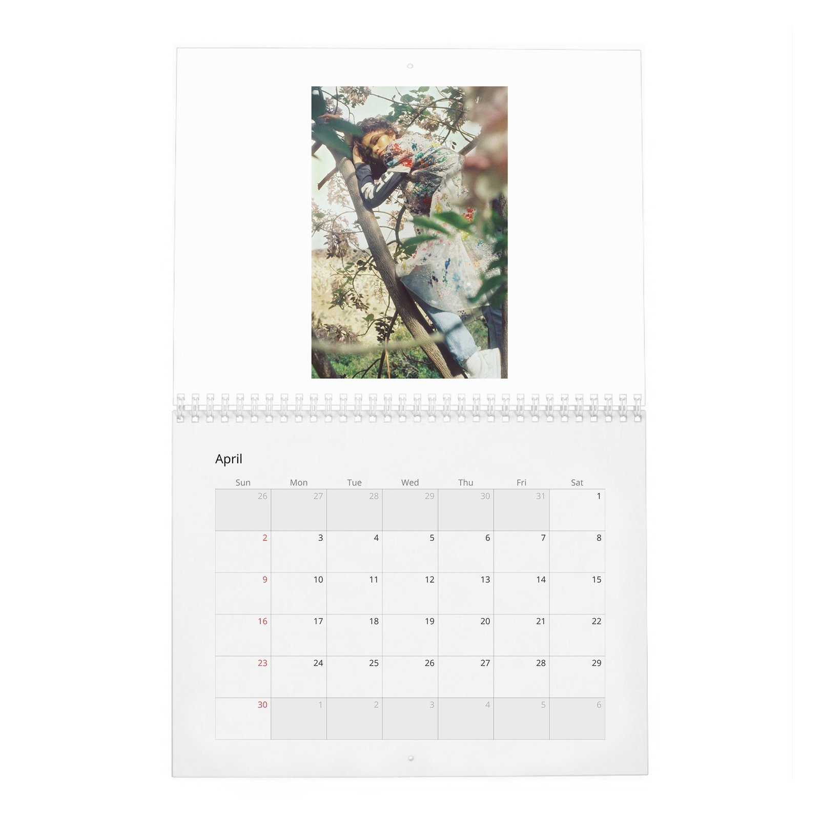 Zendaya - Wonderland 2027 Wall Calendar