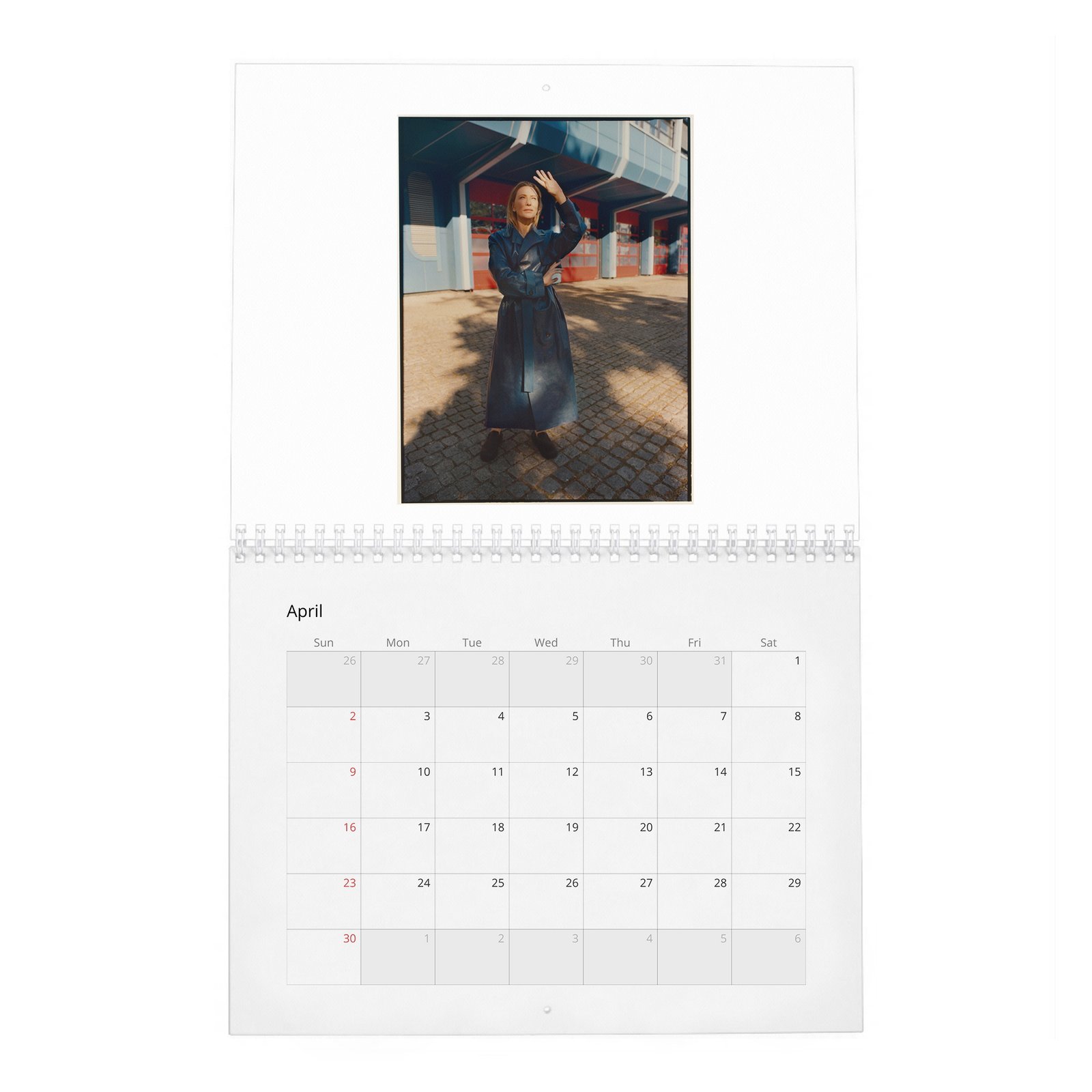 04 Cate Blanchett - Leading Light 2027 Wall Calendar