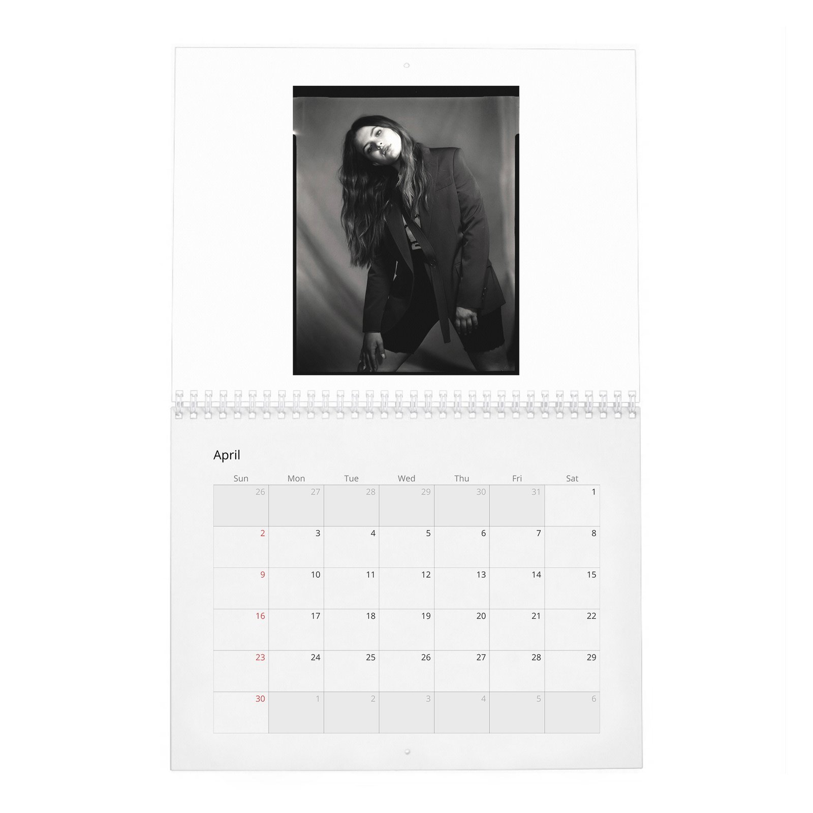 04 Chiara Aurelia - Aptitude And Ease 2027 Wall Calendar