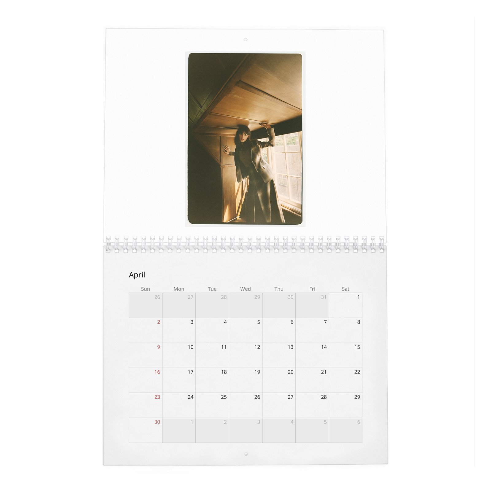 04 Daisy Edgar-Jones - Starring Breaktrough Talent 2027 Wall Calendar