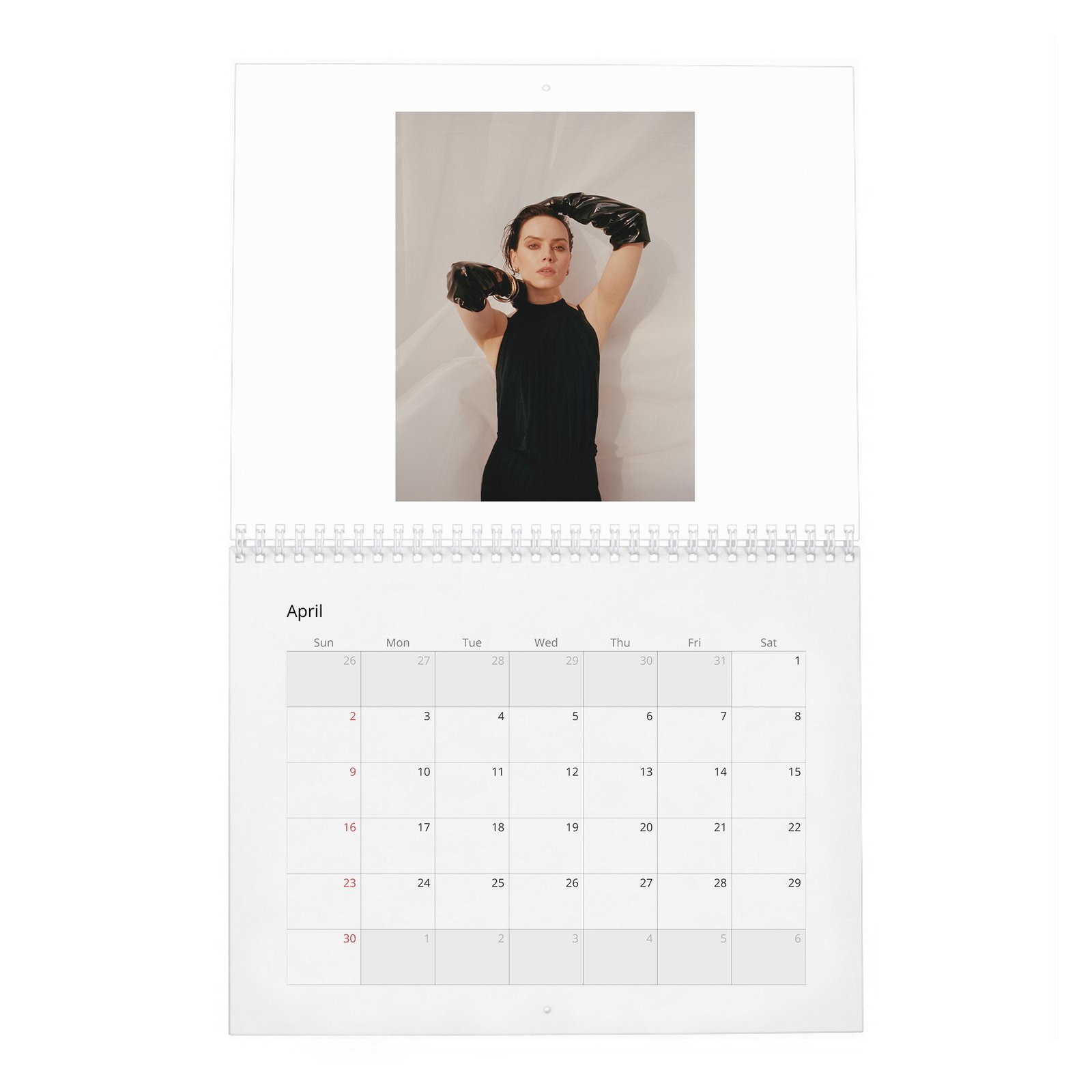 04 Daisy Ridley - Trailblazer In Her Own Right 2027 Wall Calendar